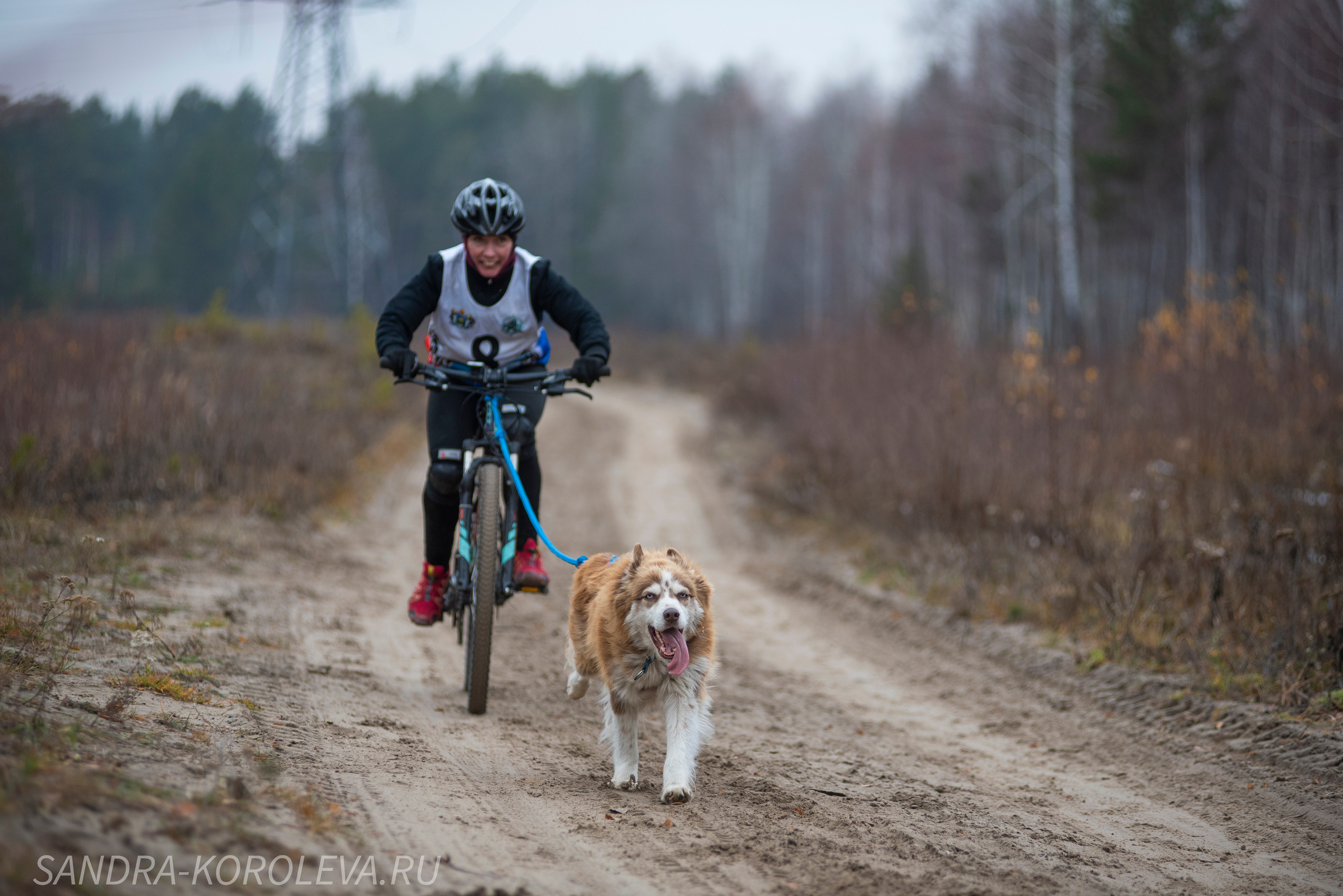 Спринт-гонка «Закрытие сезона» 24.10.2021. Дог-фотограф в Тюмени Александра Королева
