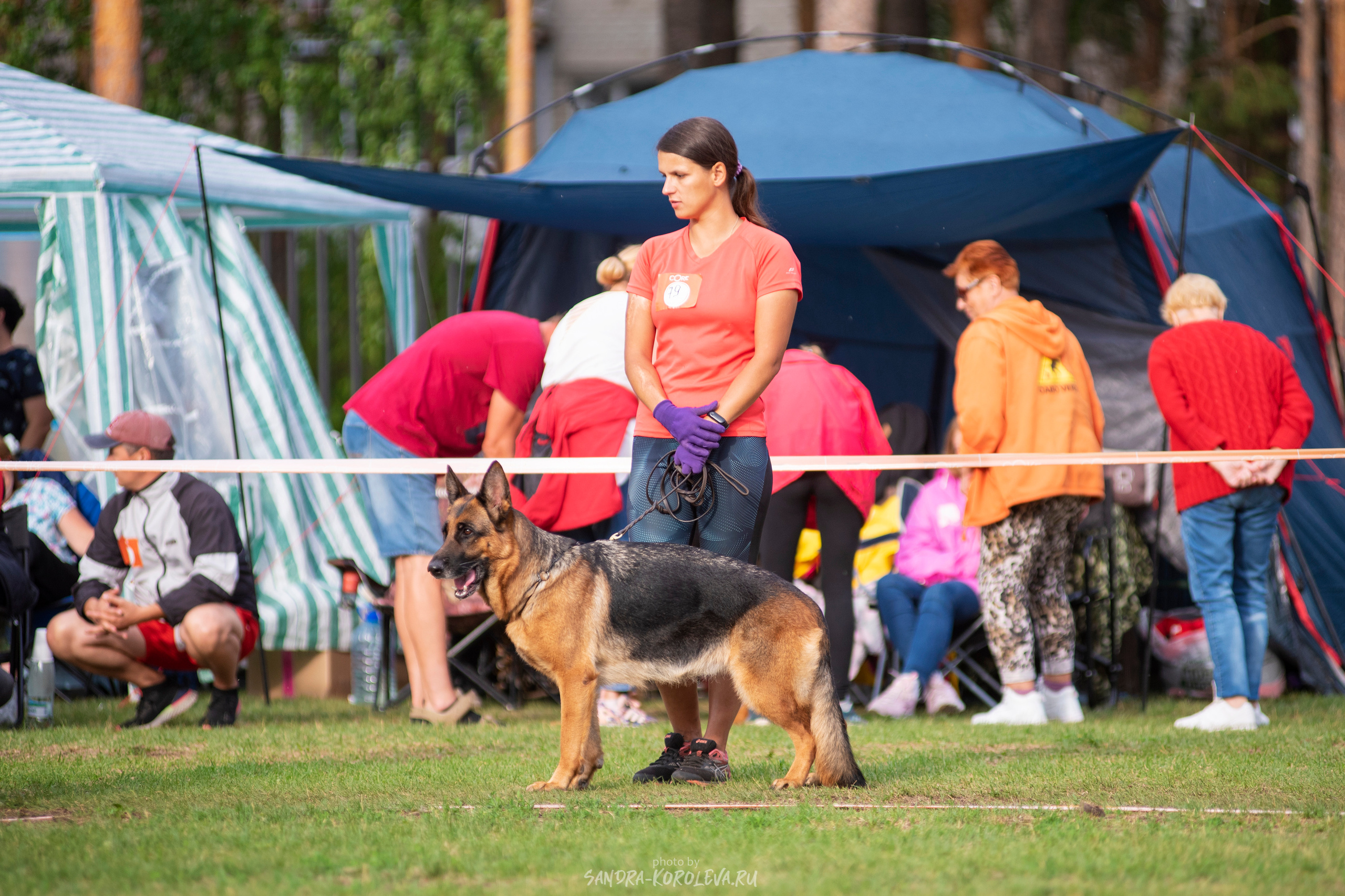 Монопородная выставка немецких овчарок, г. Заречный 2021. Дог-фотограф в Тюмени Александра Королева