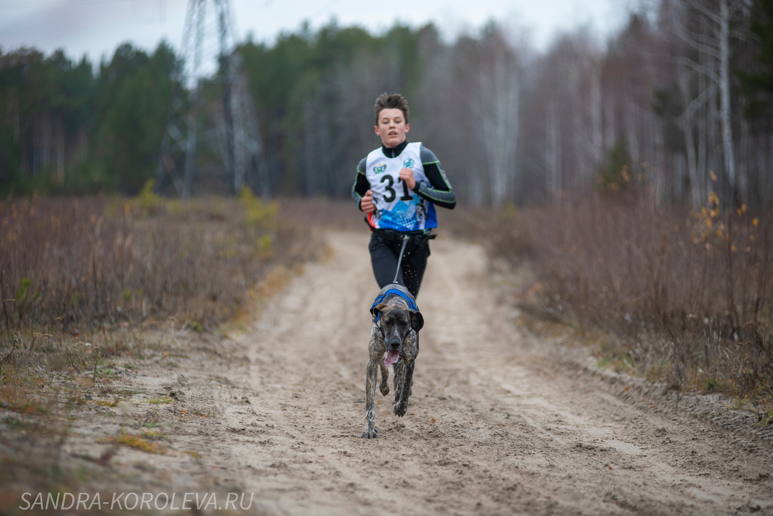 Спринт-гонка «Закрытие сезона» 24.10.2021. Дог-фотограф в Тюмени Александра Королева