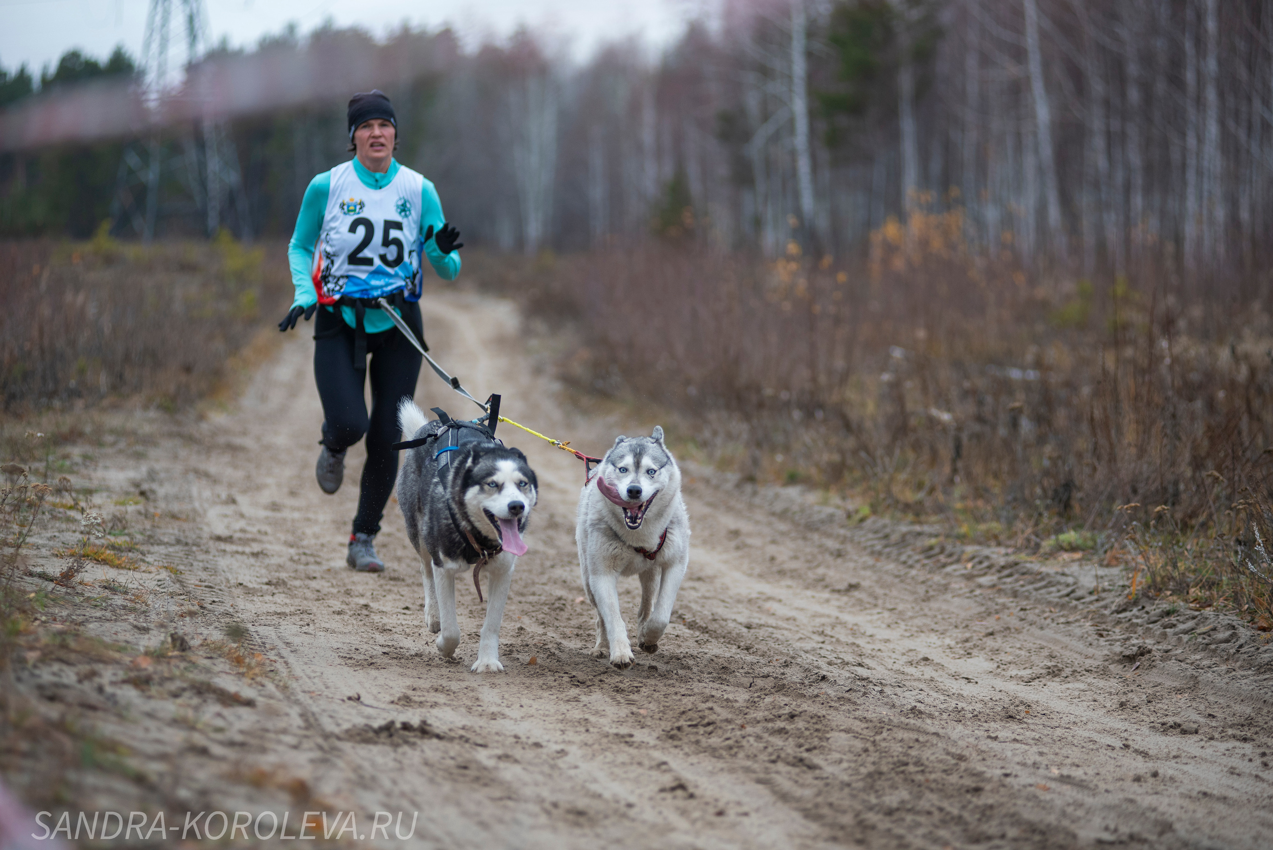 Спринт-гонка «Закрытие сезона» 24.10.2021. Дог-фотограф в Тюмени Александра Королева