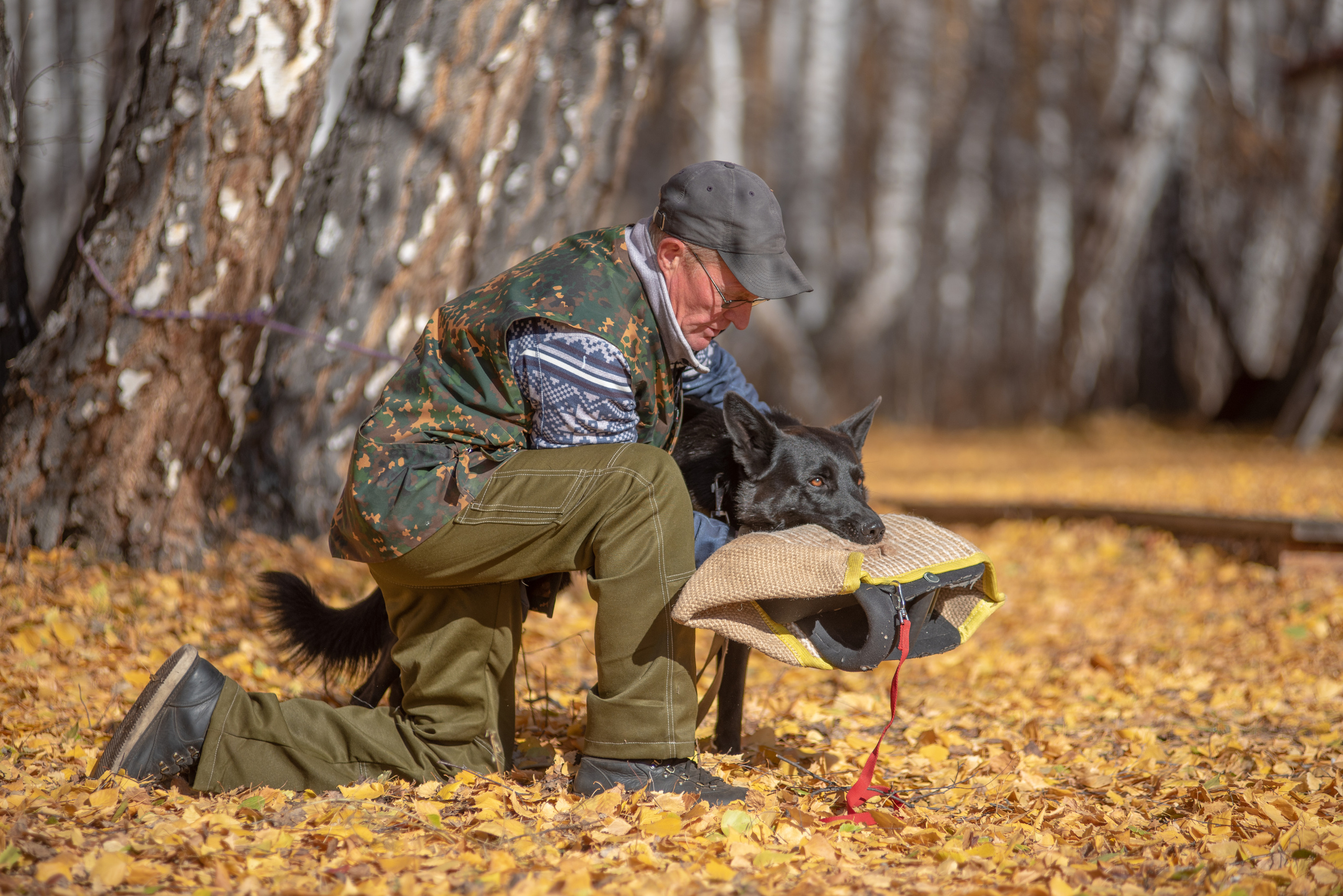 RUSSIAN HELPERS SCHOOL. Магнитогорск октябрь 2021. Дог-фотограф в Тюмени Александра Королева