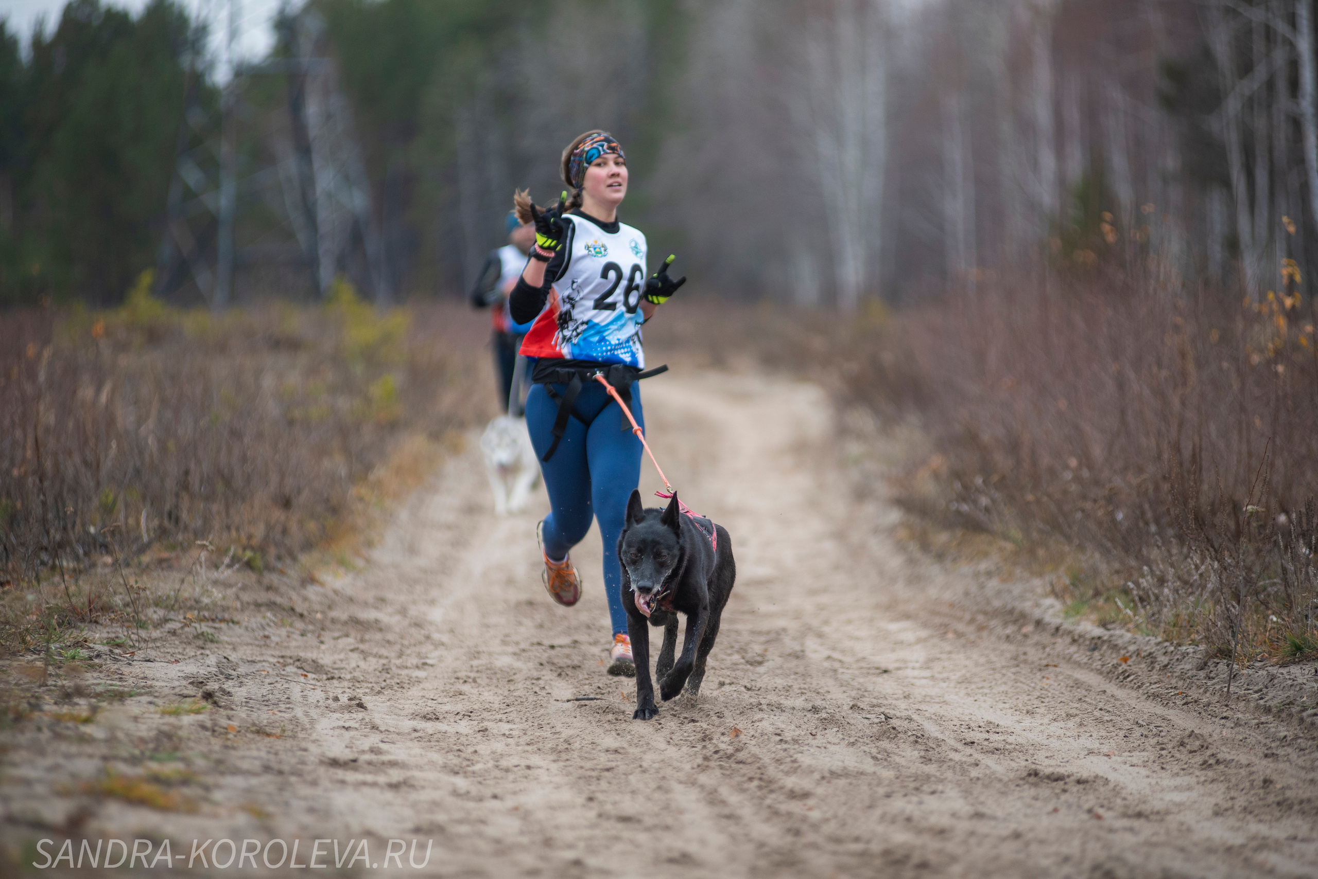 Спринт-гонка «Закрытие сезона» 24.10.2021. Дог-фотограф в Тюмени Александра Королева