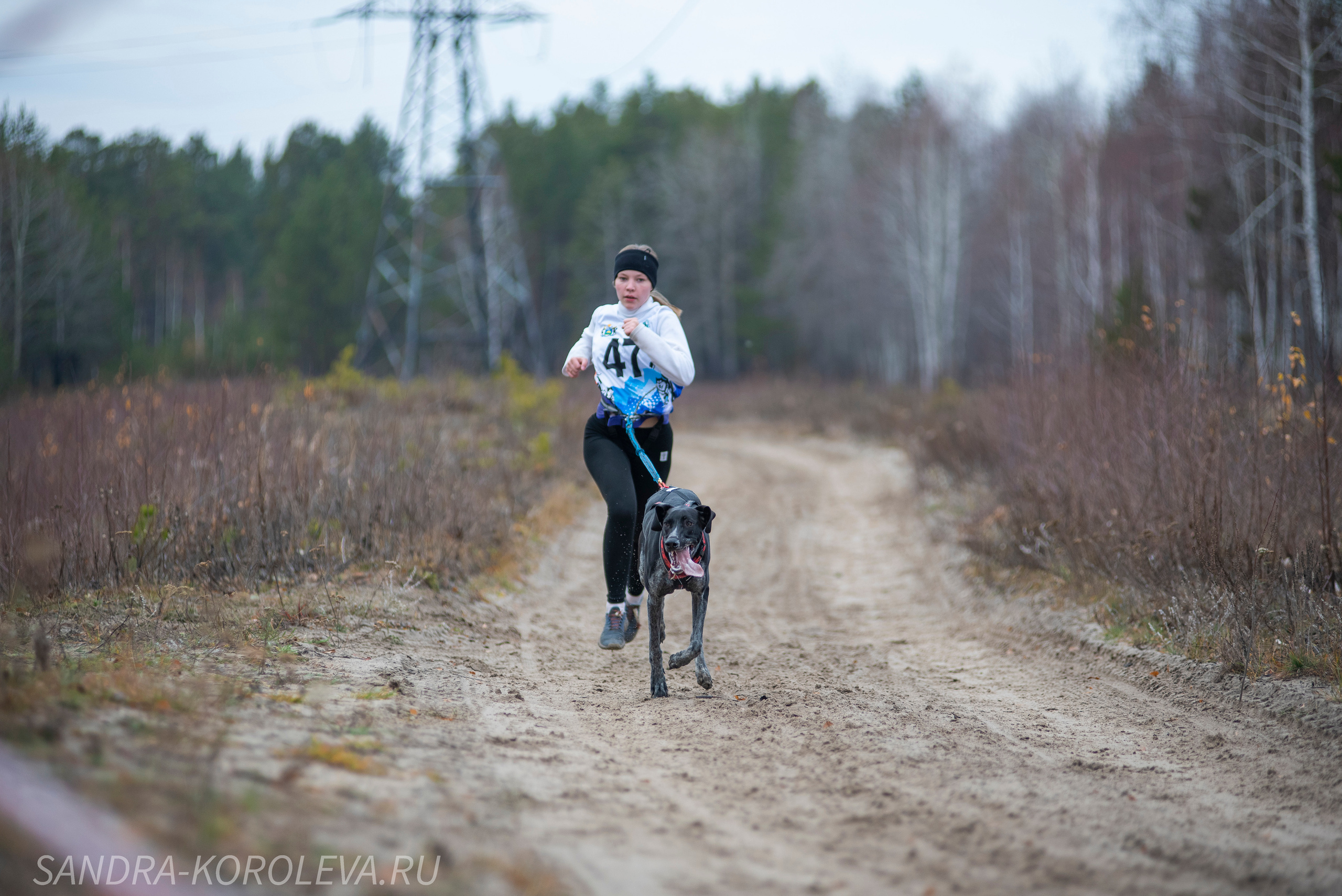 Спринт-гонка «Закрытие сезона» 24.10.2021. Дог-фотограф в Тюмени Александра Королева