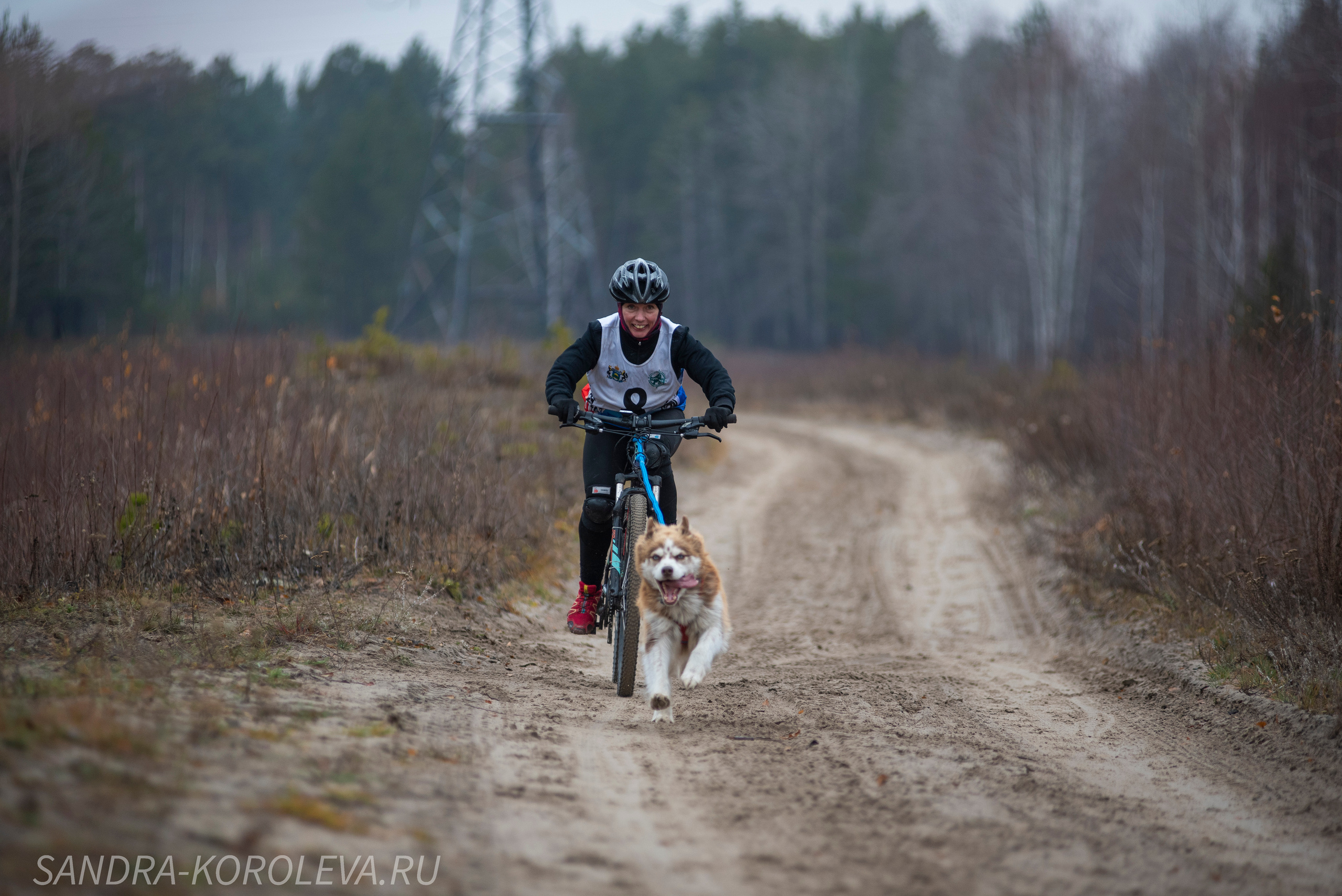 Спринт-гонка «Закрытие сезона» 24.10.2021. Дог-фотограф в Тюмени Александра Королева