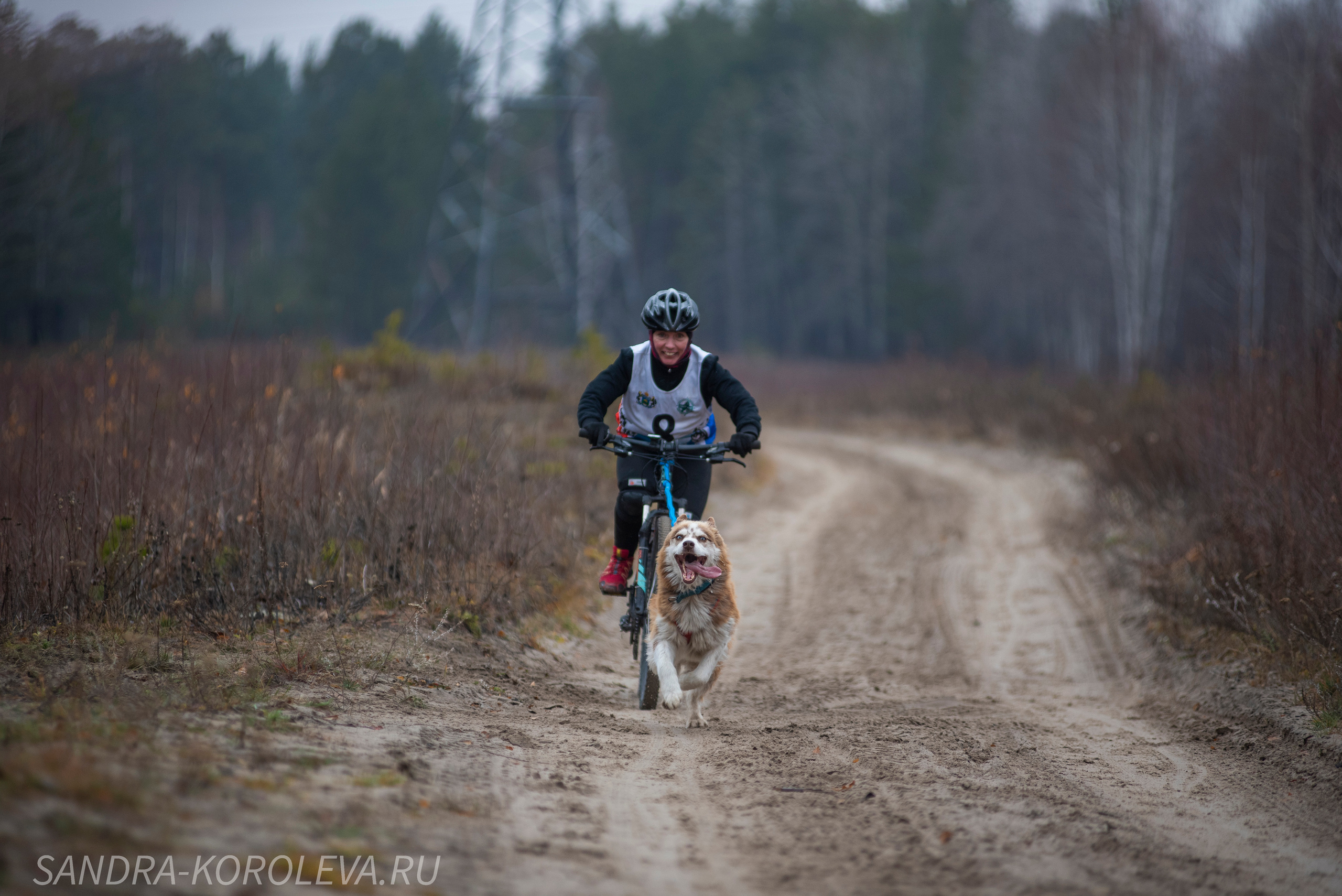 Спринт-гонка «Закрытие сезона» 24.10.2021. Дог-фотограф в Тюмени Александра Королева