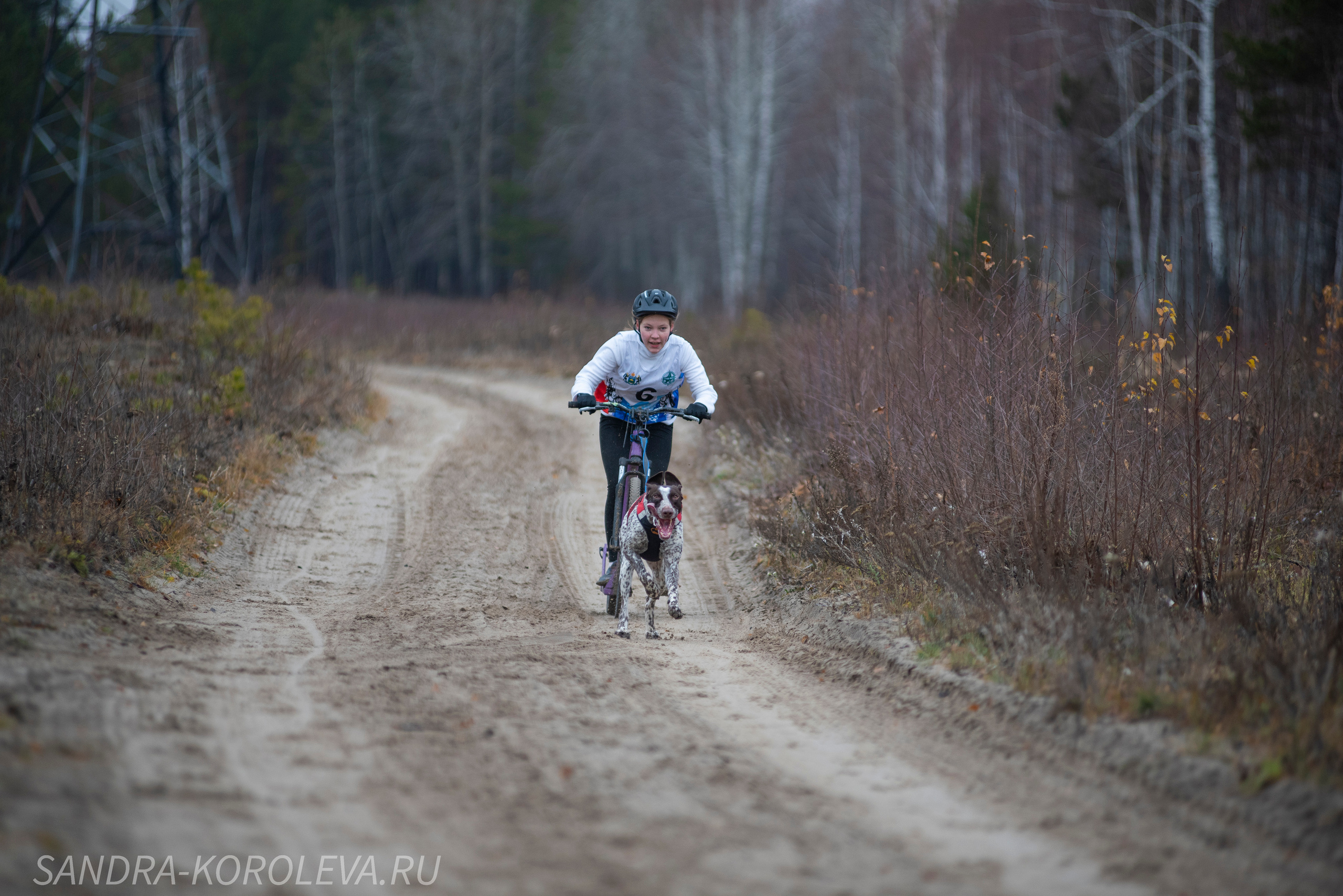 Спринт-гонка «Закрытие сезона» 24.10.2021. Дог-фотограф в Тюмени Александра Королева