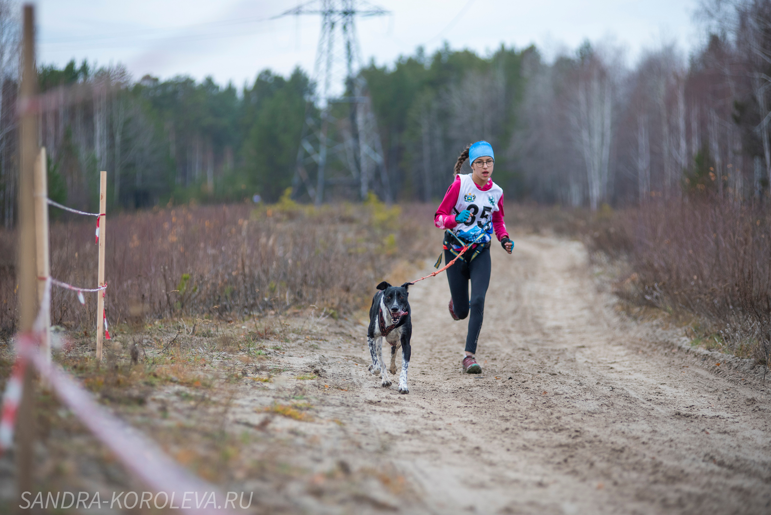 Спринт-гонка «Закрытие сезона» 24.10.2021. Дог-фотограф в Тюмени Александра Королева