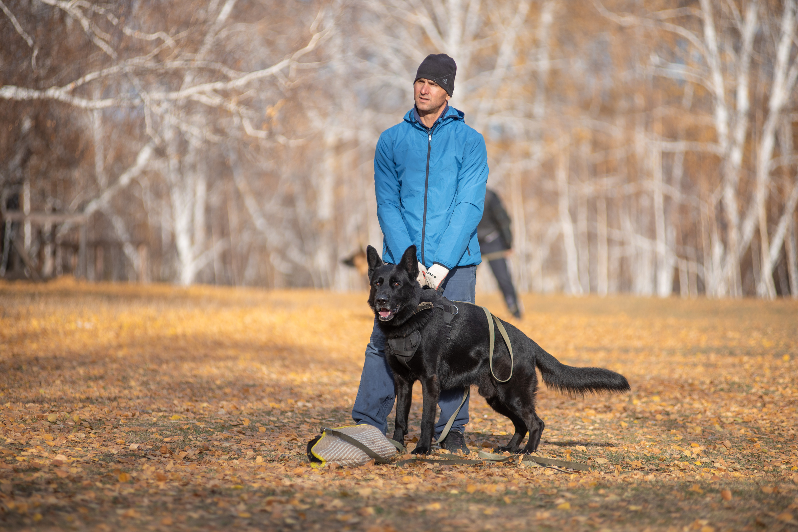 RUSSIAN HELPERS SCHOOL. Магнитогорск октябрь 2021. Дог-фотограф в Тюмени Александра Королева