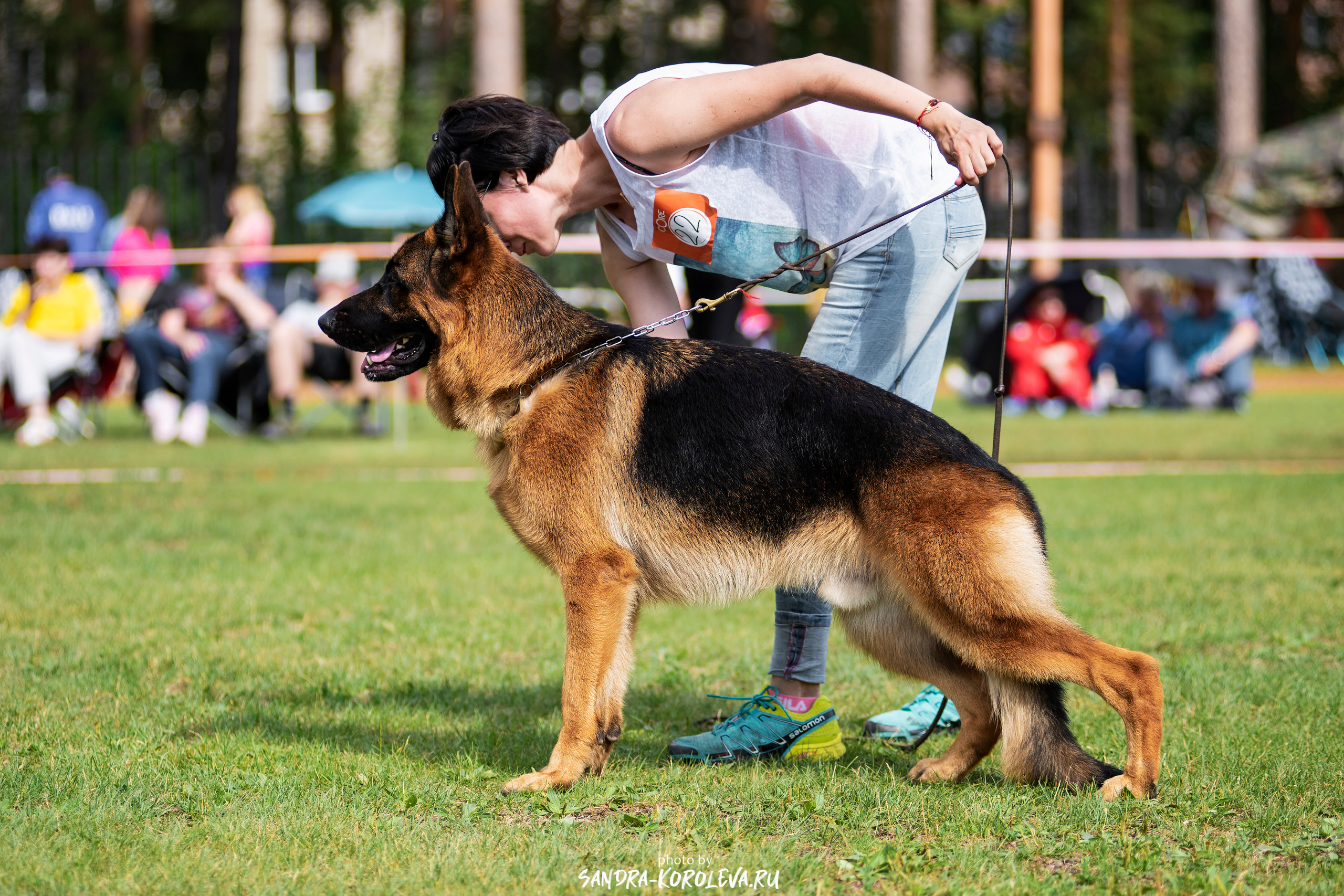 Монопородная выставка немецких овчарок, г. Заречный 2021. Дог-фотограф в Тюмени Александра Королева