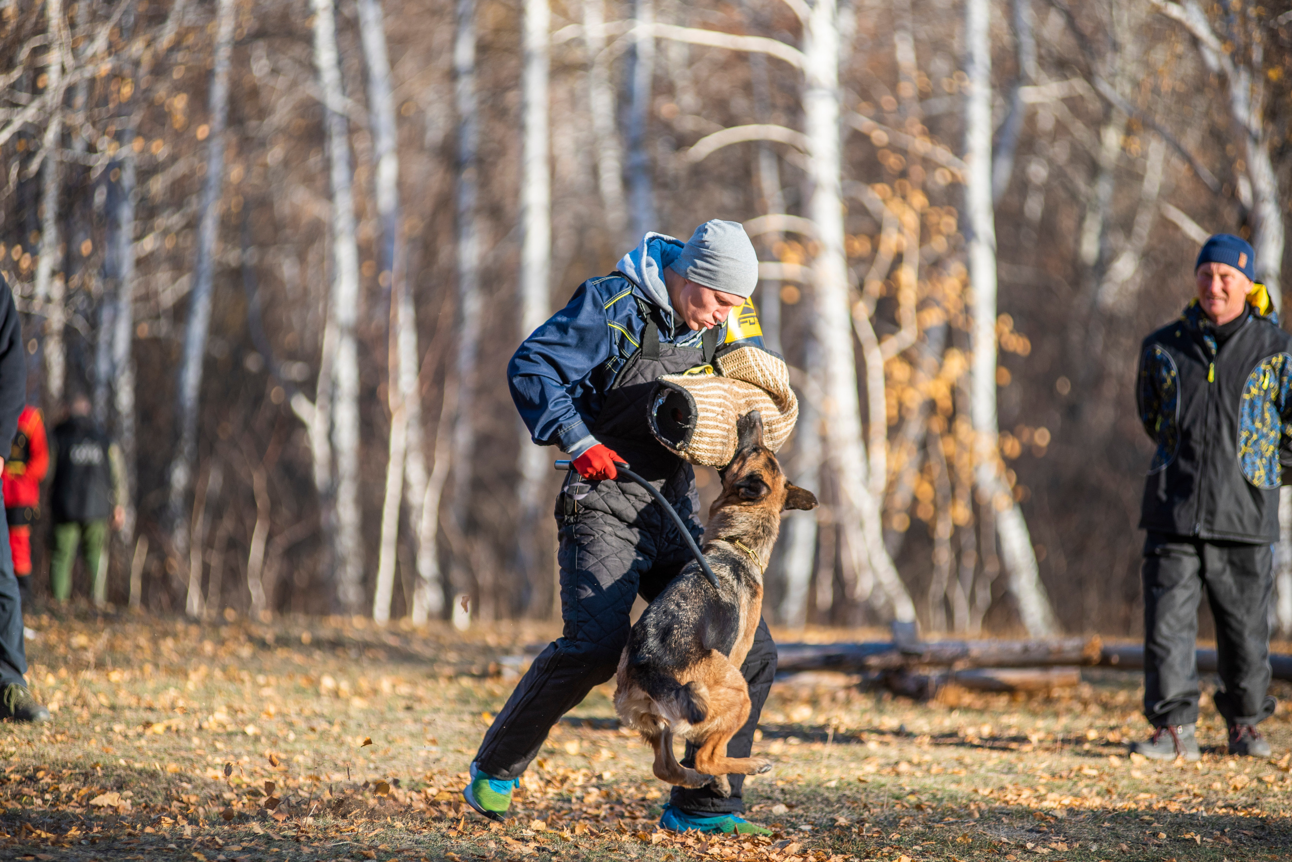 RUSSIAN HELPERS SCHOOL. Магнитогорск октябрь 2021. Дог-фотограф в Тюмени Александра Королева