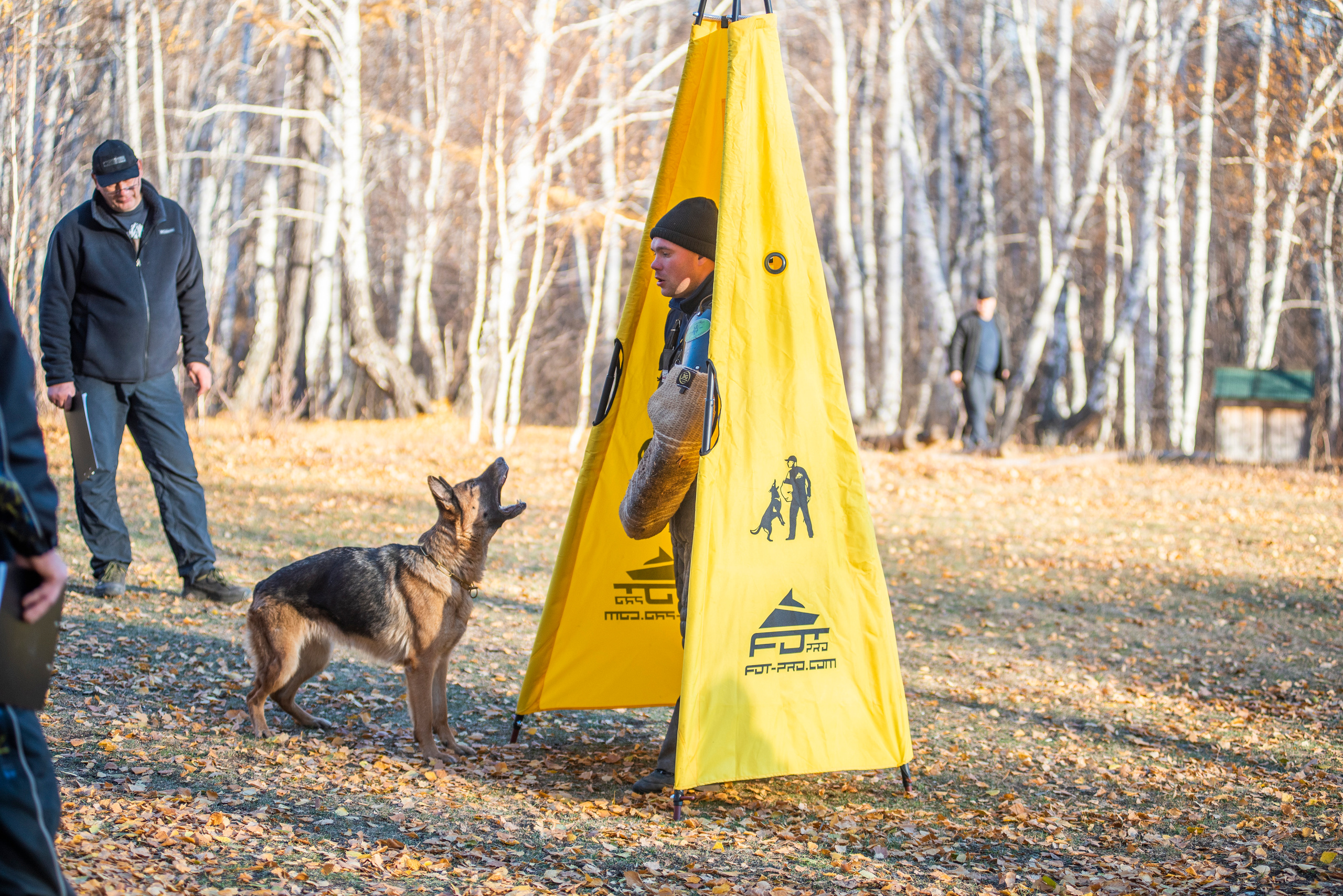 RUSSIAN HELPERS SCHOOL. Магнитогорск октябрь 2021. Дог-фотограф в Тюмени Александра Королева