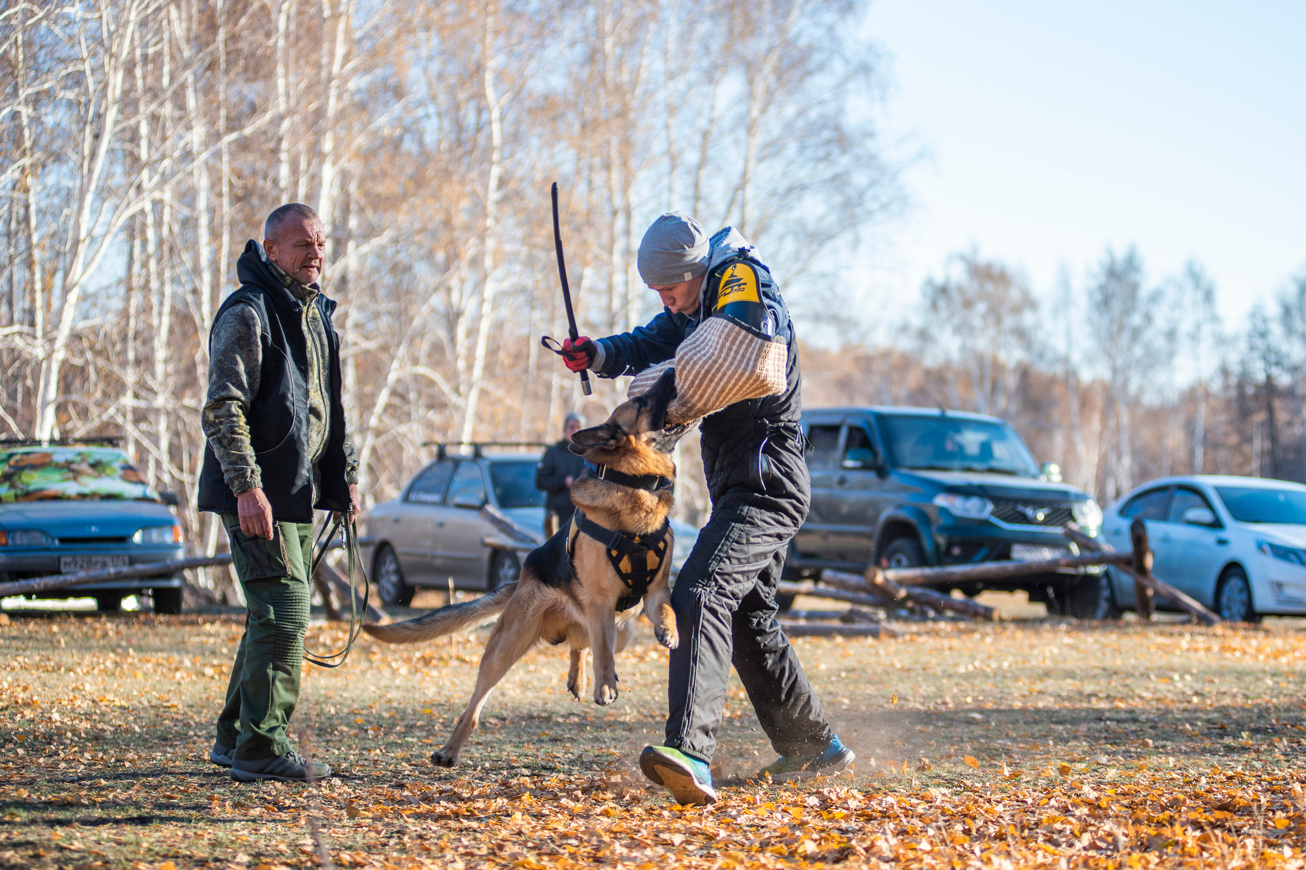 RUSSIAN HELPERS SCHOOL. Магнитогорск октябрь 2021. Дог-фотограф в Тюмени Александра Королева