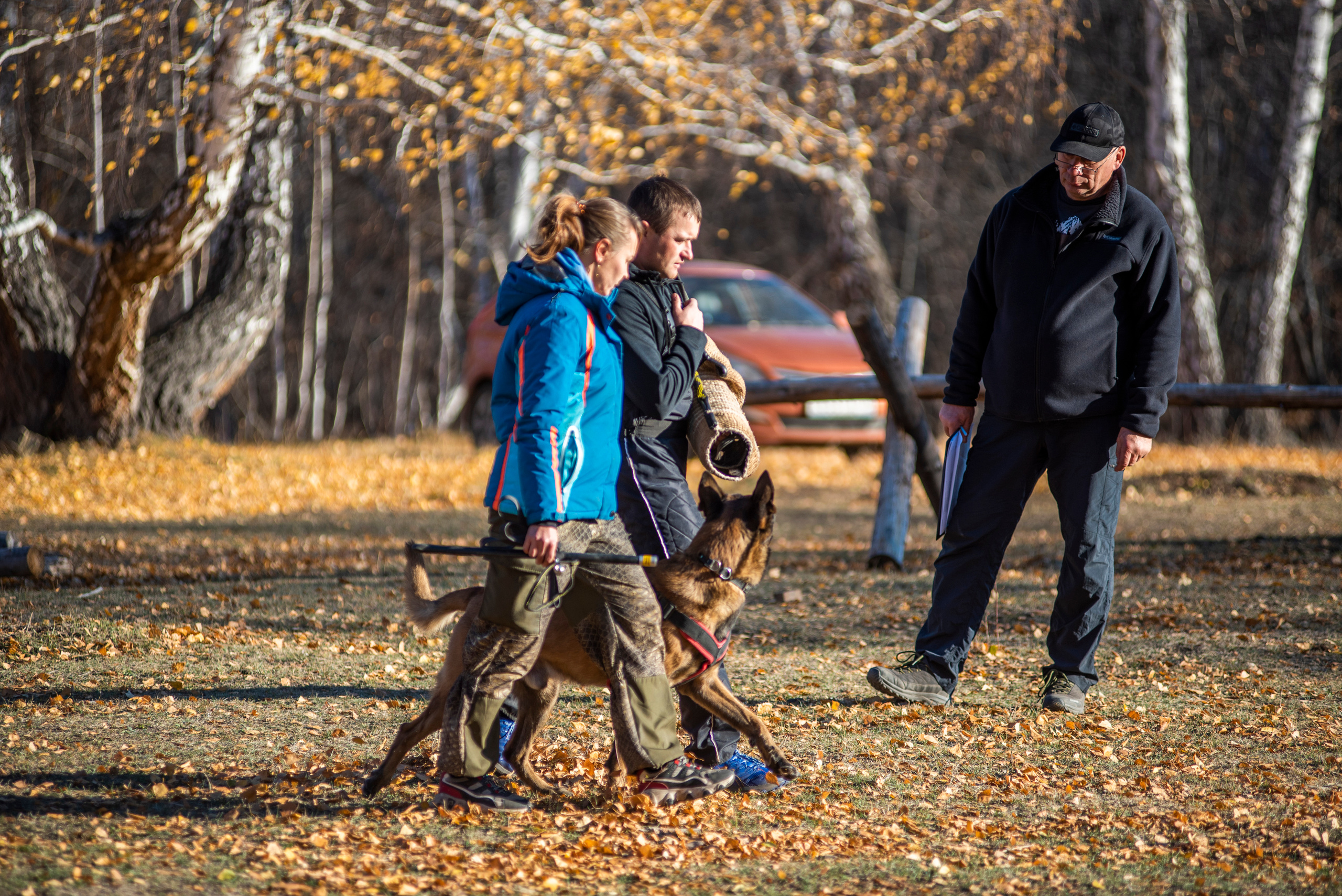 RUSSIAN HELPERS SCHOOL. Магнитогорск октябрь 2021. Дог-фотограф в Тюмени Александра Королева