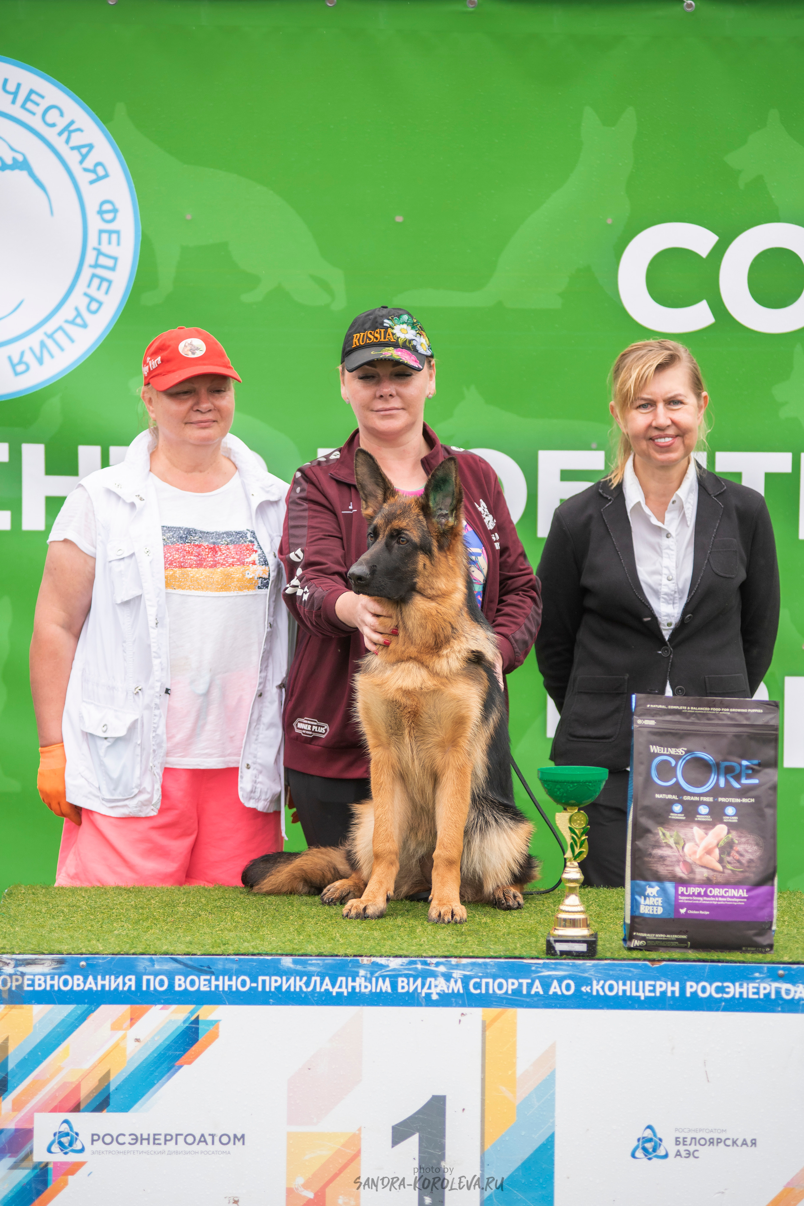 Монопородная выставка немецких овчарок, г. Заречный 2021. Дог-фотограф в Тюмени Александра Королева