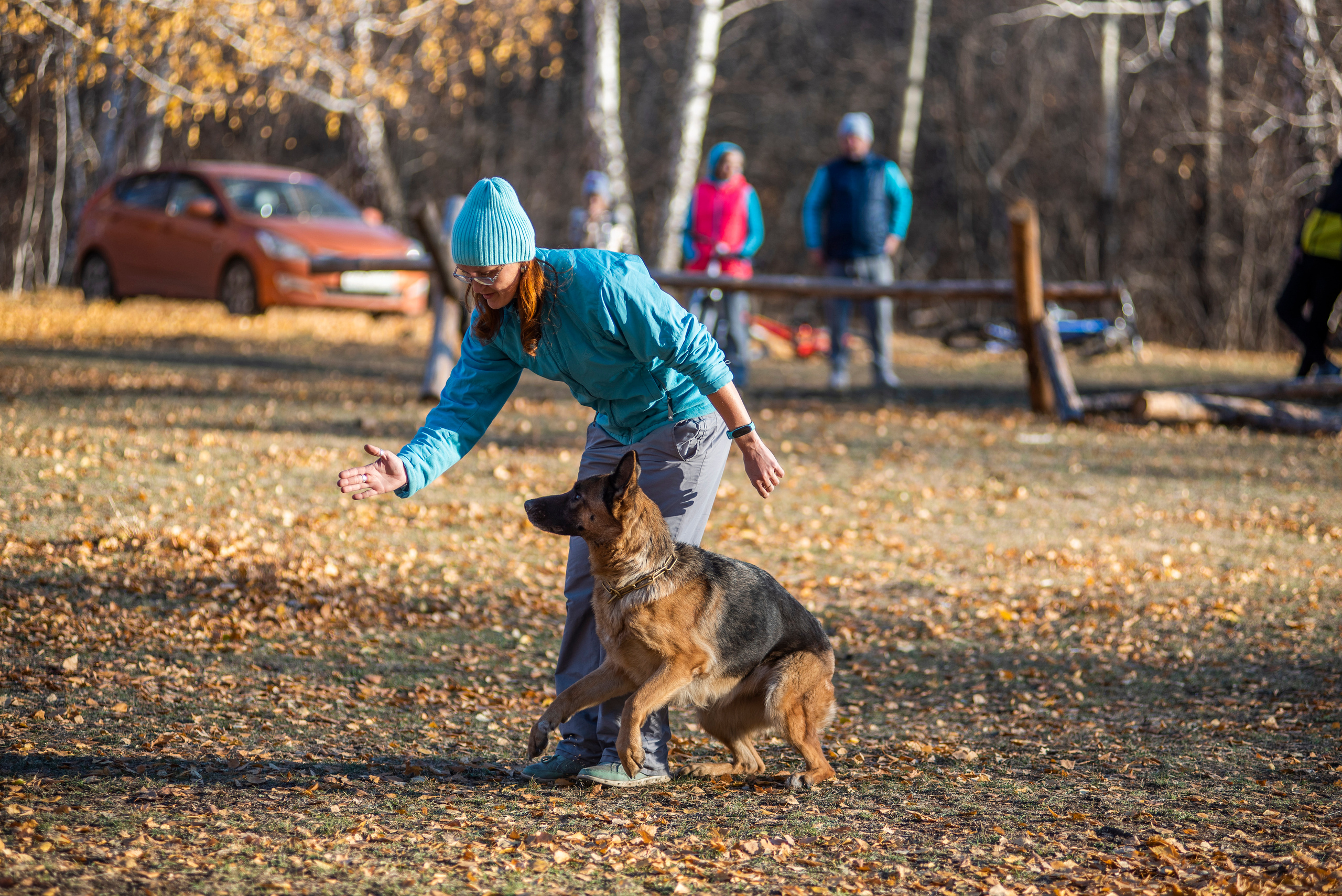RUSSIAN HELPERS SCHOOL. Магнитогорск октябрь 2021. Дог-фотограф в Тюмени Александра Королева