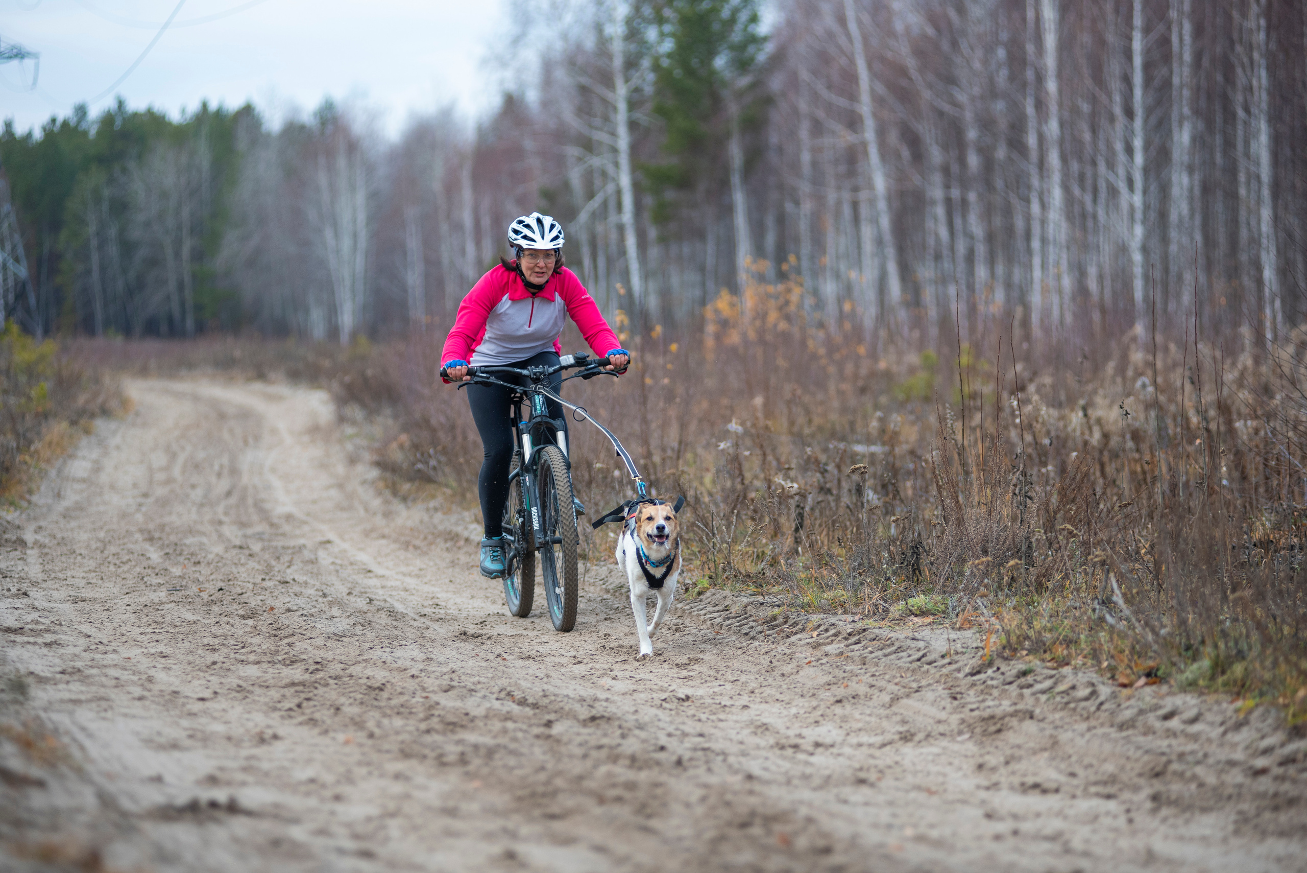 Спринт-гонка «Закрытие сезона» 24.10.2021. Дог-фотограф в Тюмени Александра Королева