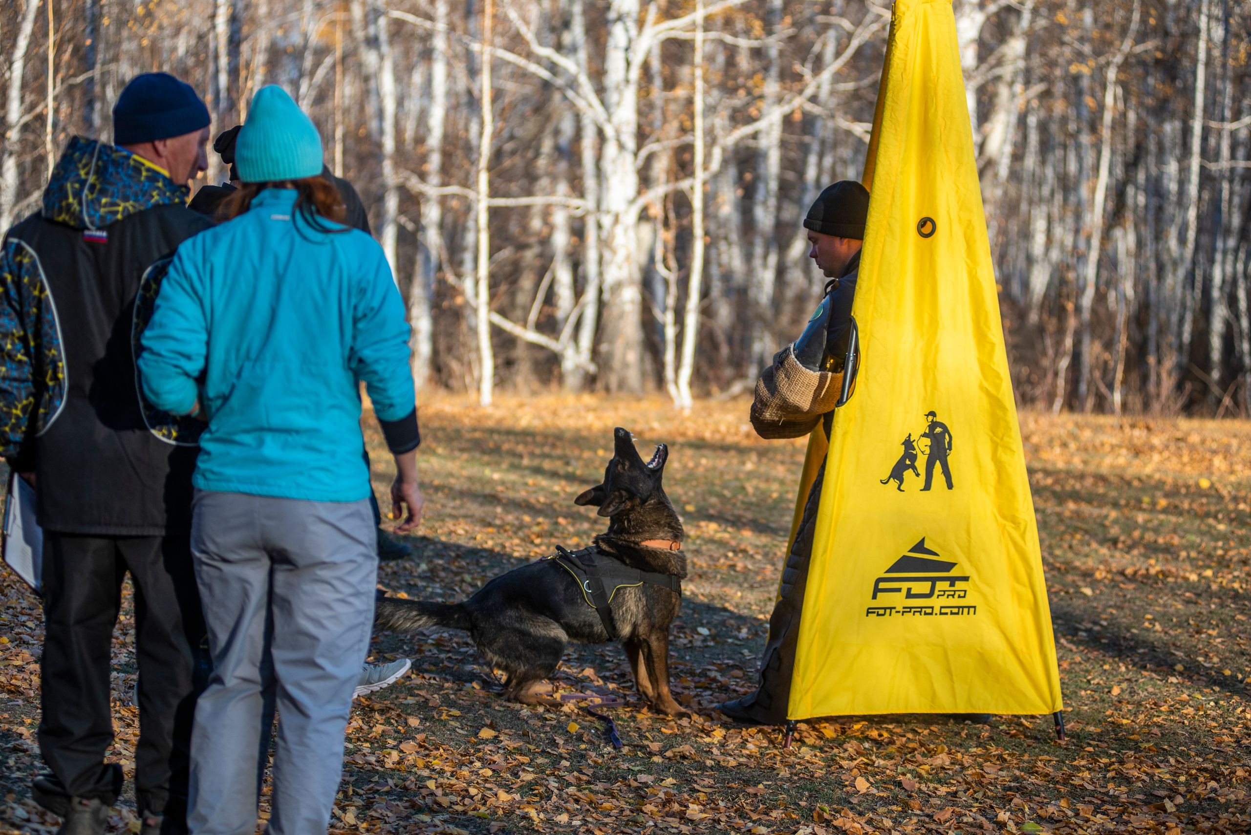 RUSSIAN HELPERS SCHOOL. Магнитогорск октябрь 2021. Дог-фотограф в Тюмени Александра Королева