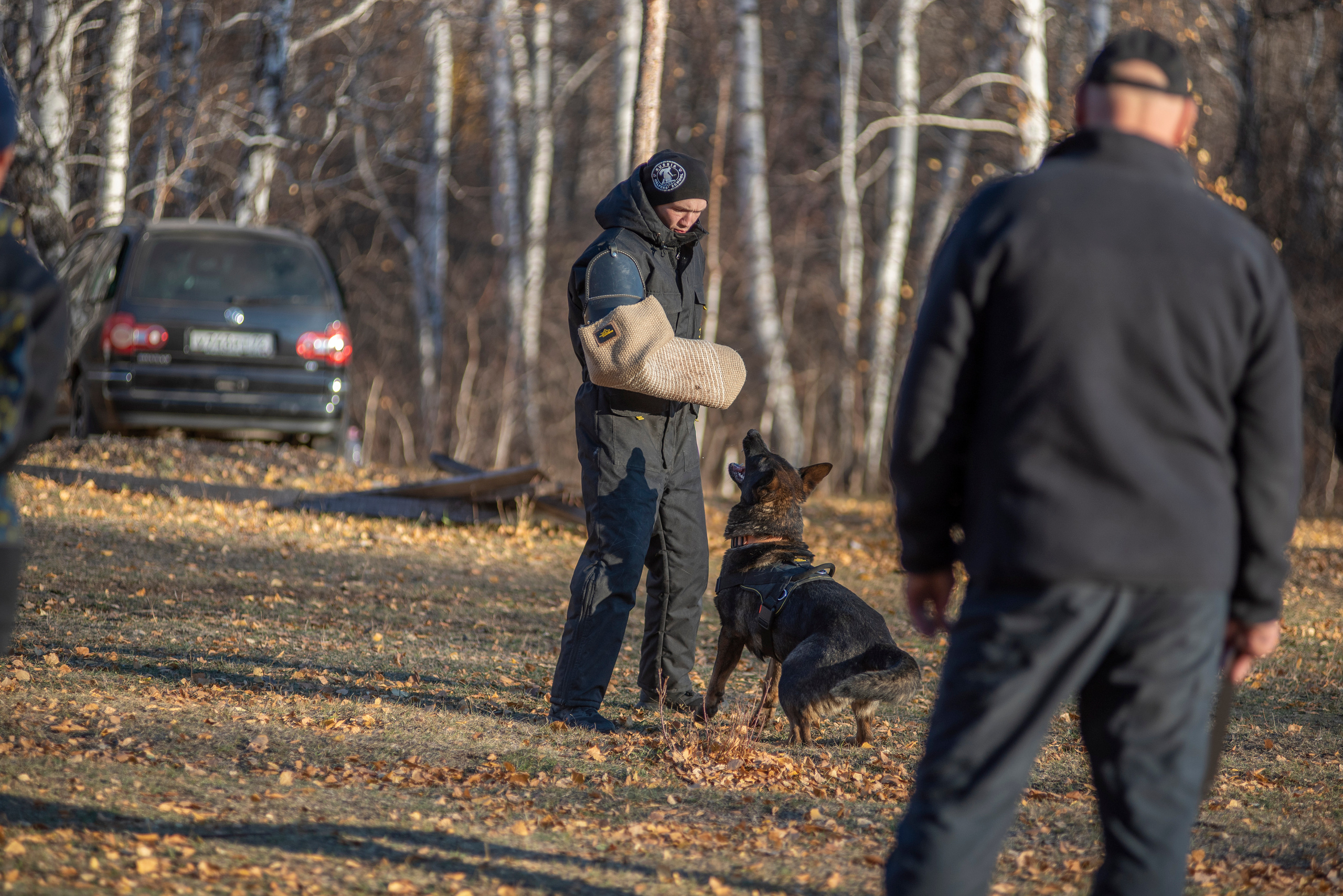 RUSSIAN HELPERS SCHOOL. Магнитогорск октябрь 2021. Дог-фотограф в Тюмени Александра Королева