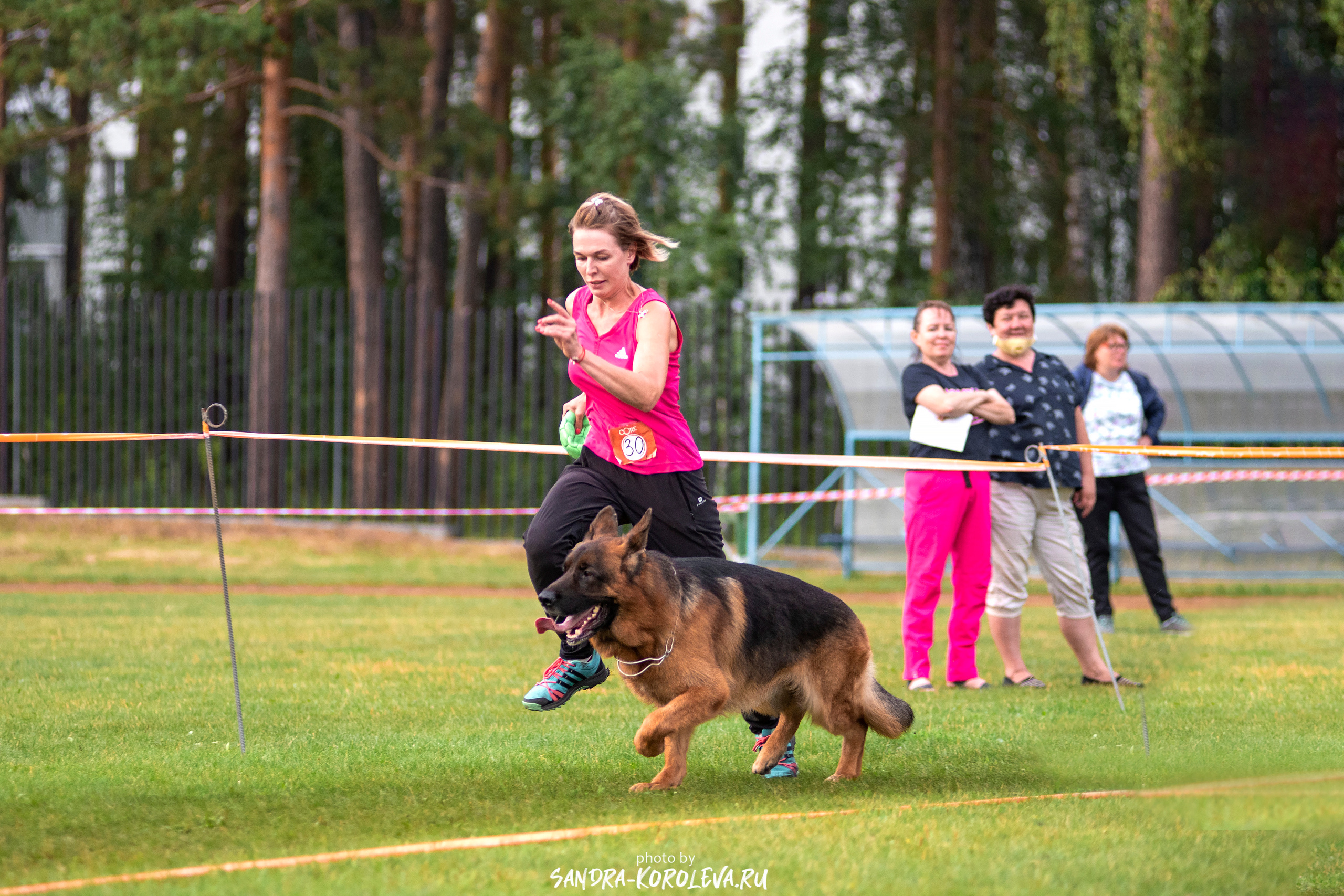 Монопородная выставка немецких овчарок, г. Заречный 2021. Дог-фотограф в Тюмени Александра Королева
