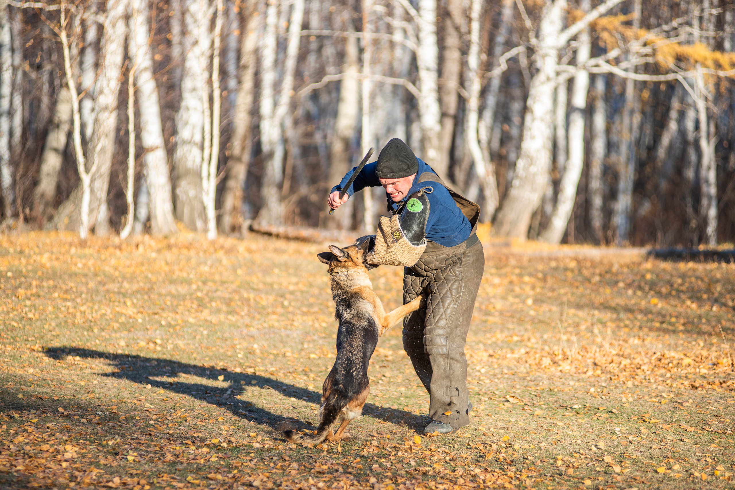 RUSSIAN HELPERS SCHOOL. Магнитогорск октябрь 2021. Дог-фотограф в Тюмени Александра Королева