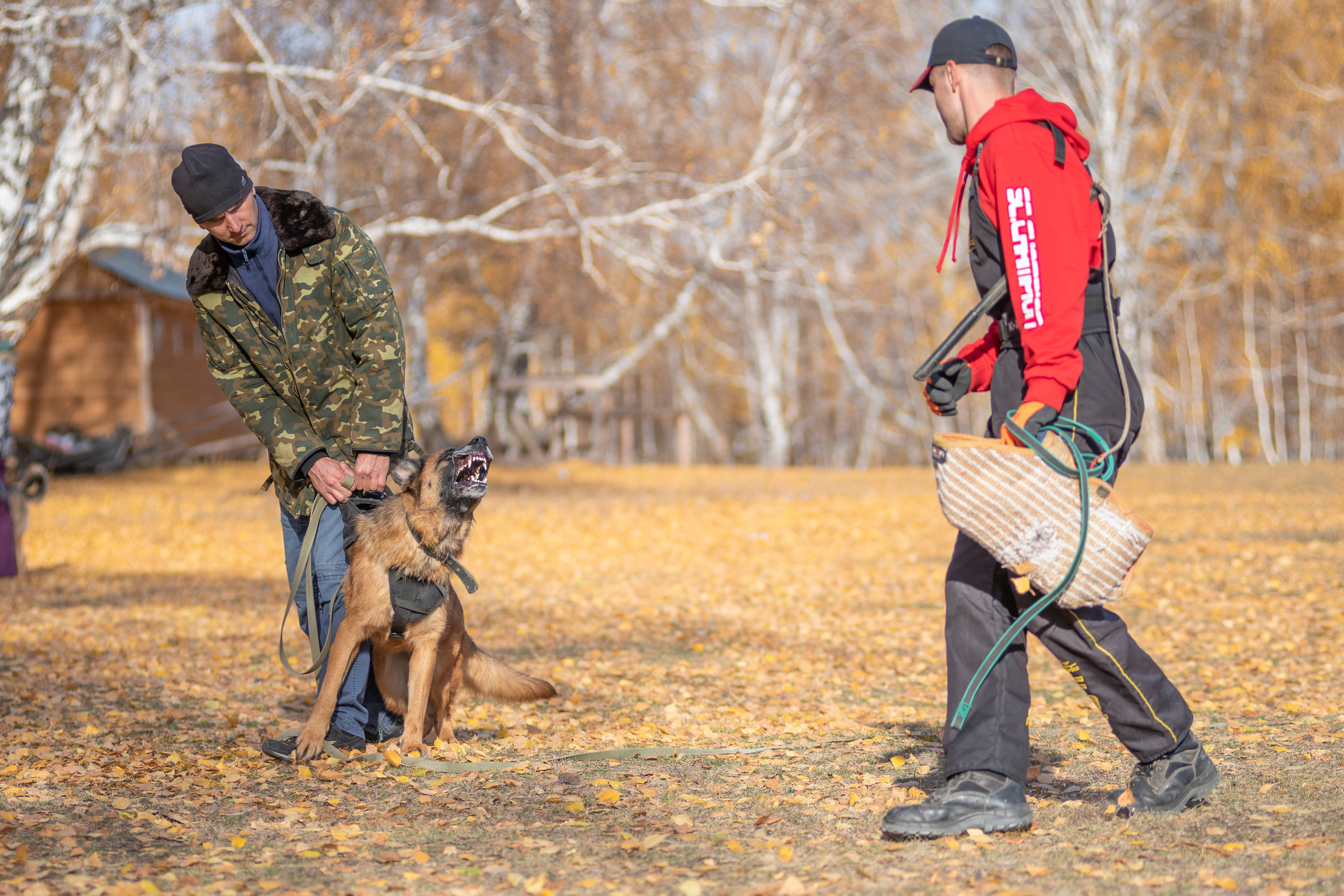 RUSSIAN HELPERS SCHOOL. Магнитогорск октябрь 2021. Дог-фотограф в Тюмени Александра Королева