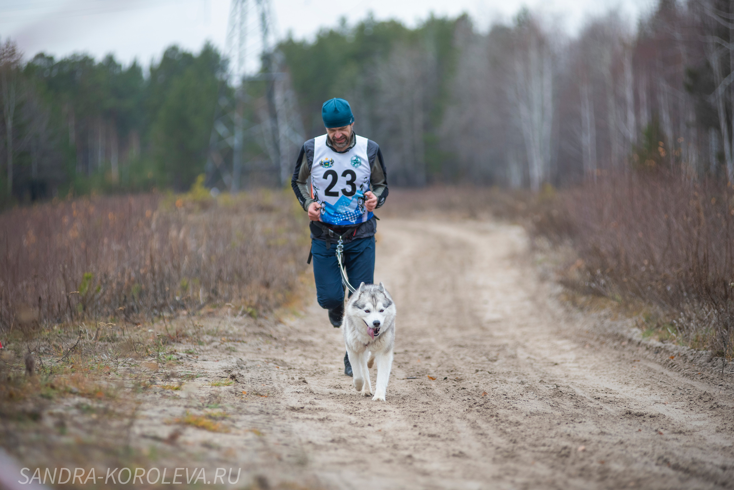 Спринт-гонка «Закрытие сезона» 24.10.2021. Дог-фотограф в Тюмени Александра Королева