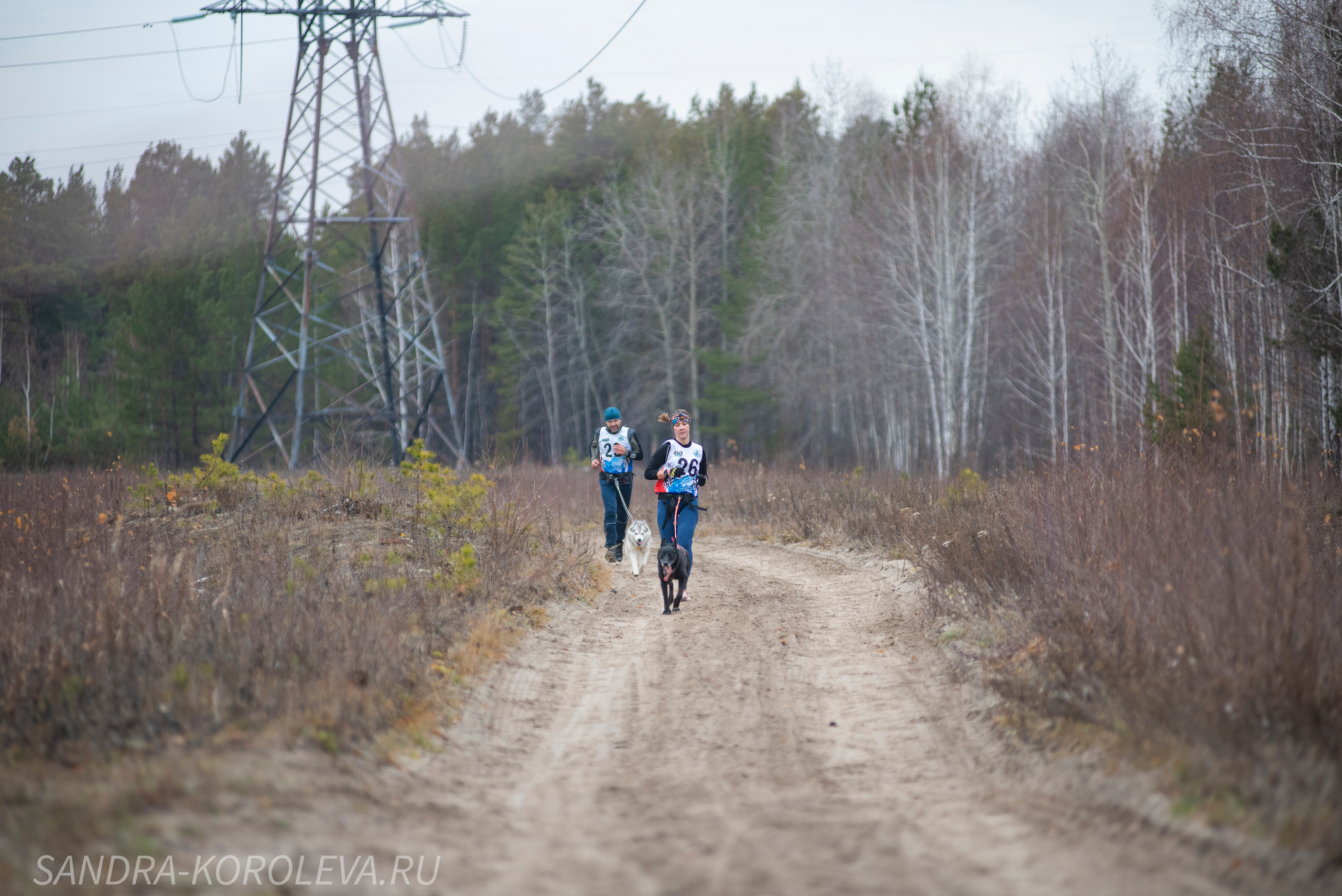 Спринт-гонка «Закрытие сезона» 24.10.2021. Дог-фотограф в Тюмени Александра Королева