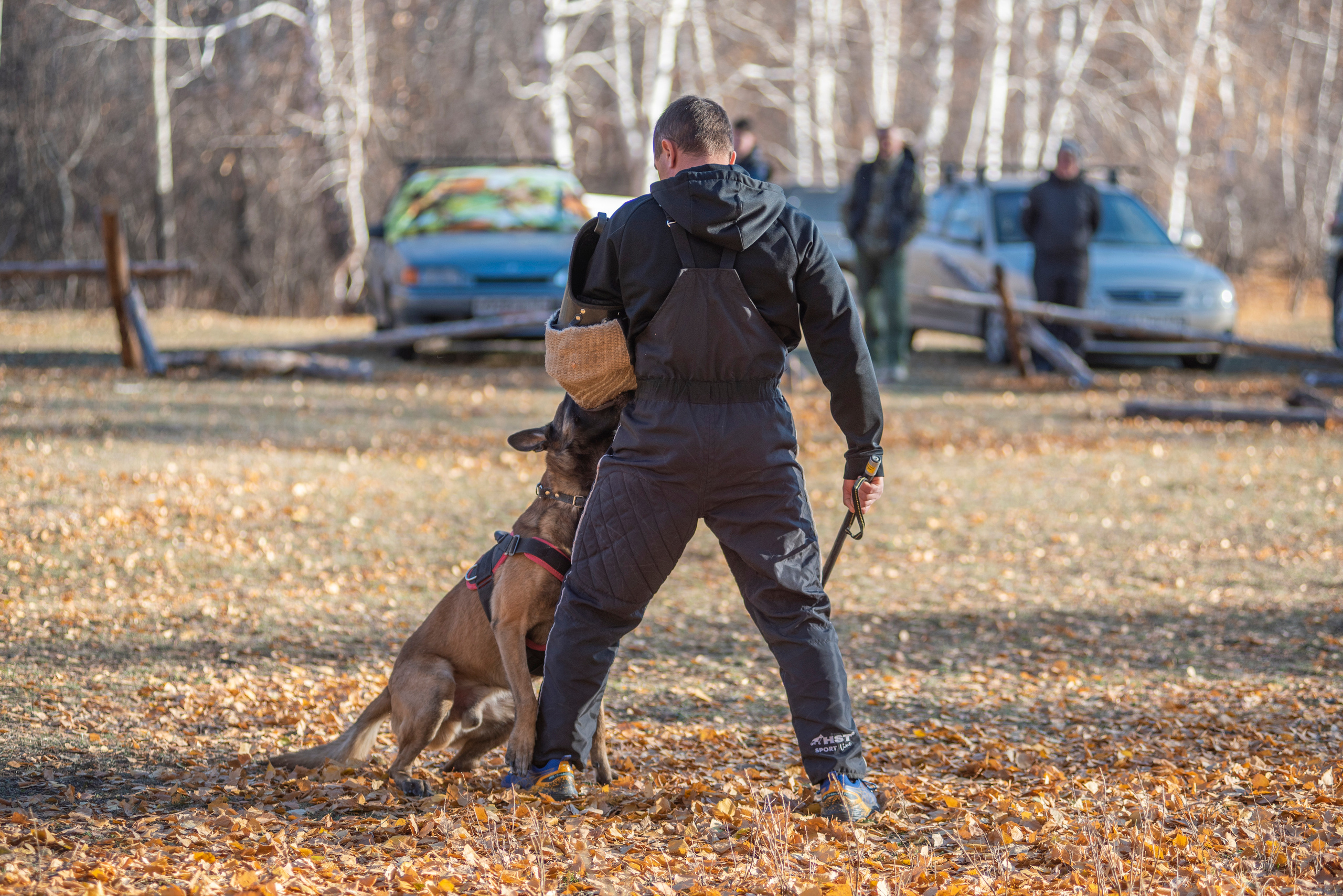 RUSSIAN HELPERS SCHOOL. Магнитогорск октябрь 2021. Дог-фотограф в Тюмени Александра Королева