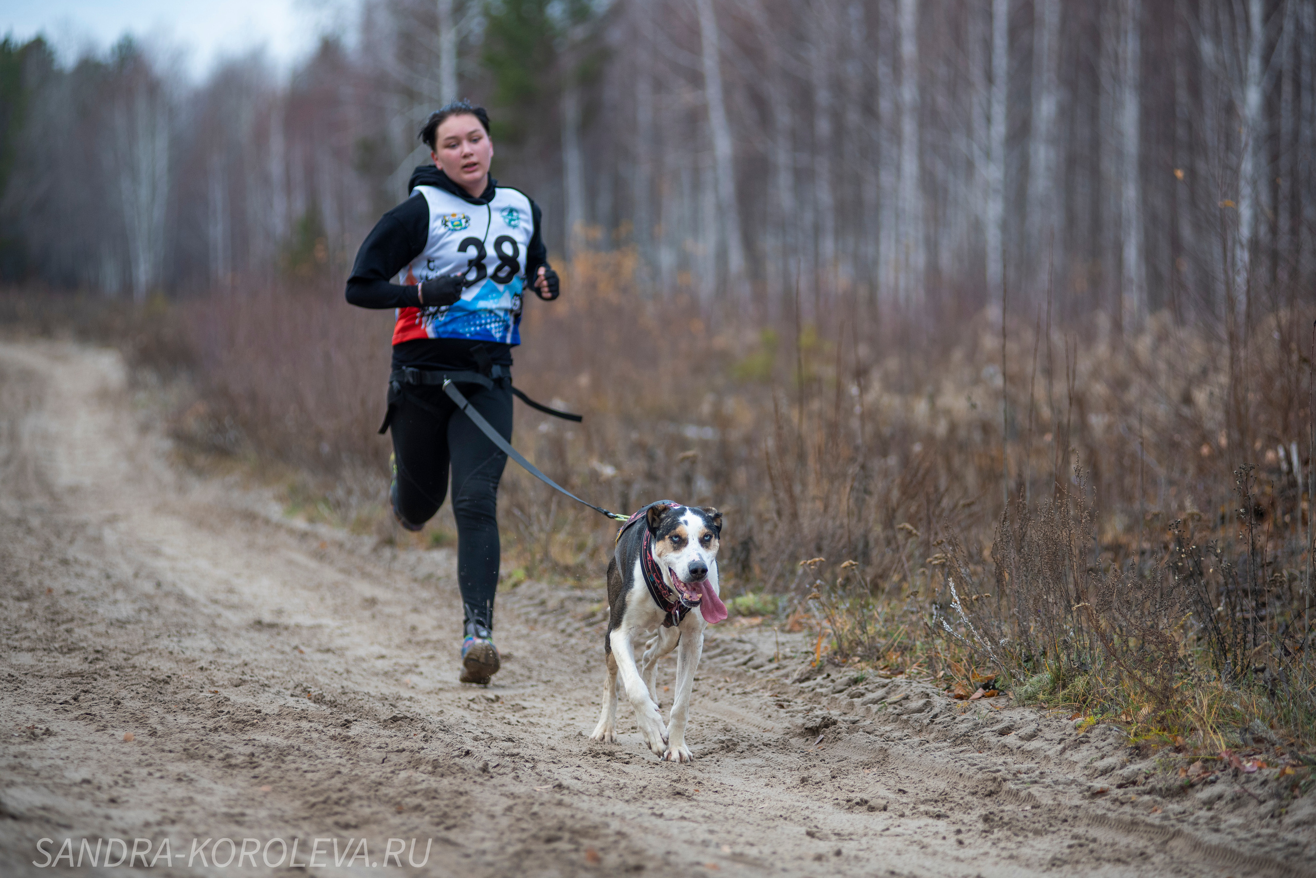 Спринт-гонка «Закрытие сезона» 24.10.2021. Дог-фотограф в Тюмени Александра Королева