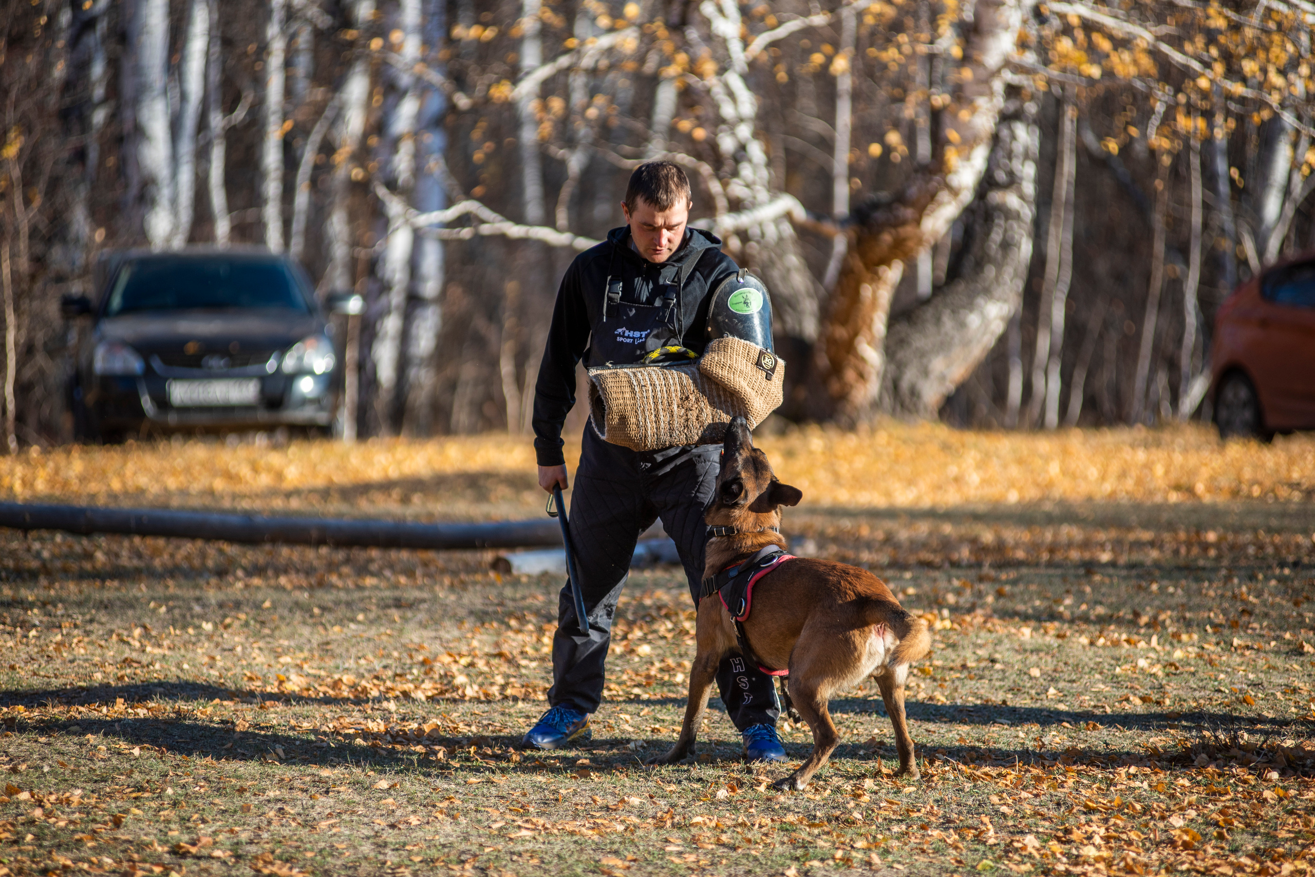 RUSSIAN HELPERS SCHOOL. Магнитогорск октябрь 2021. Дог-фотограф в Тюмени Александра Королева
