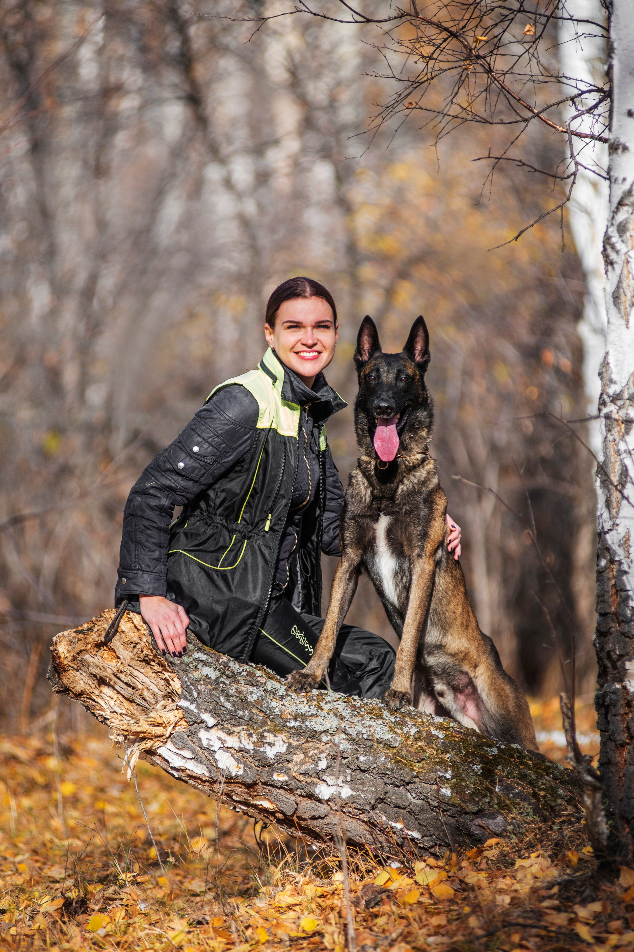 Малинуа Гектор. Дог-фотограф в Тюмени Александра Королева