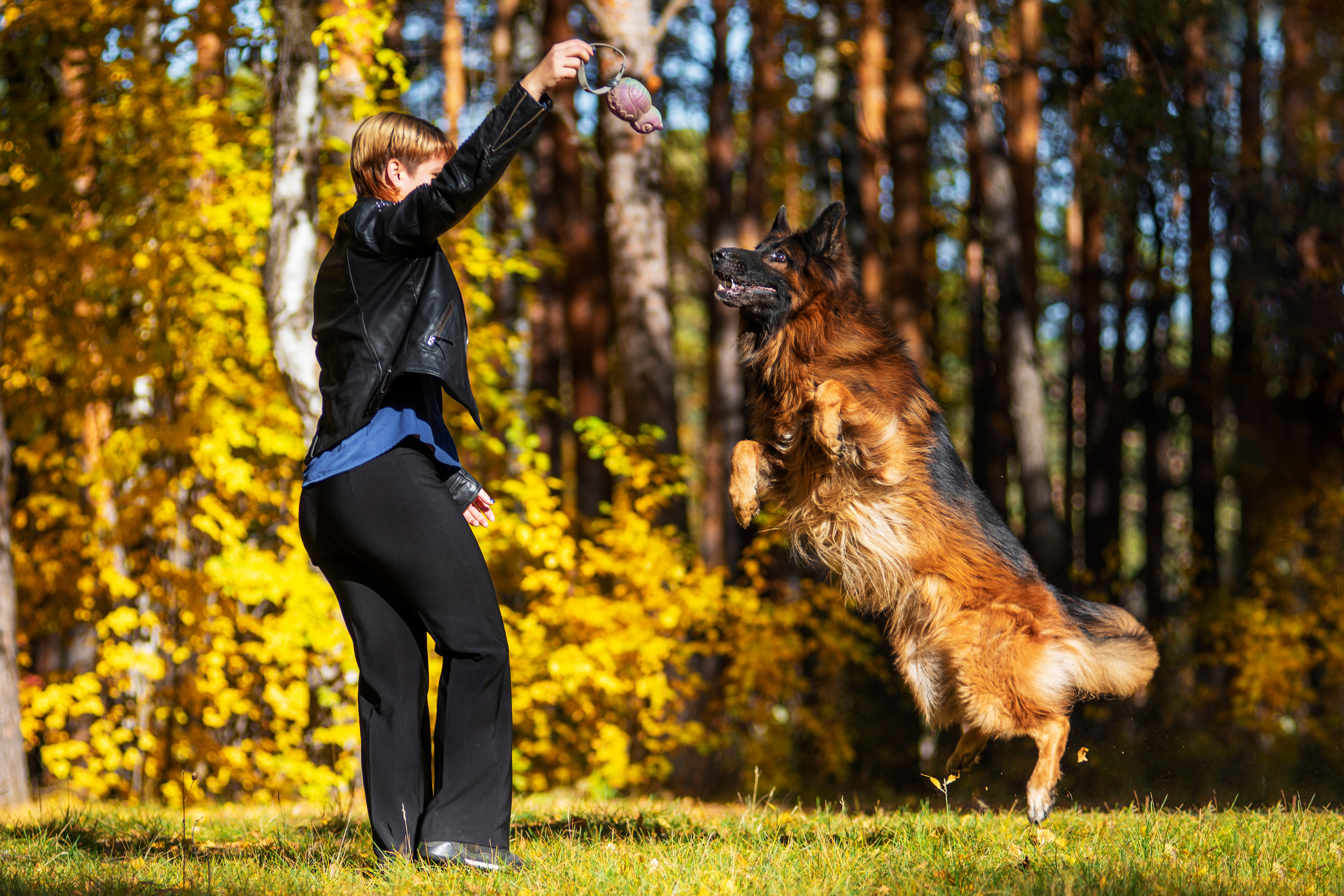 Полина и ее питомцы. Дог-фотограф в Тюмени Александра Королева