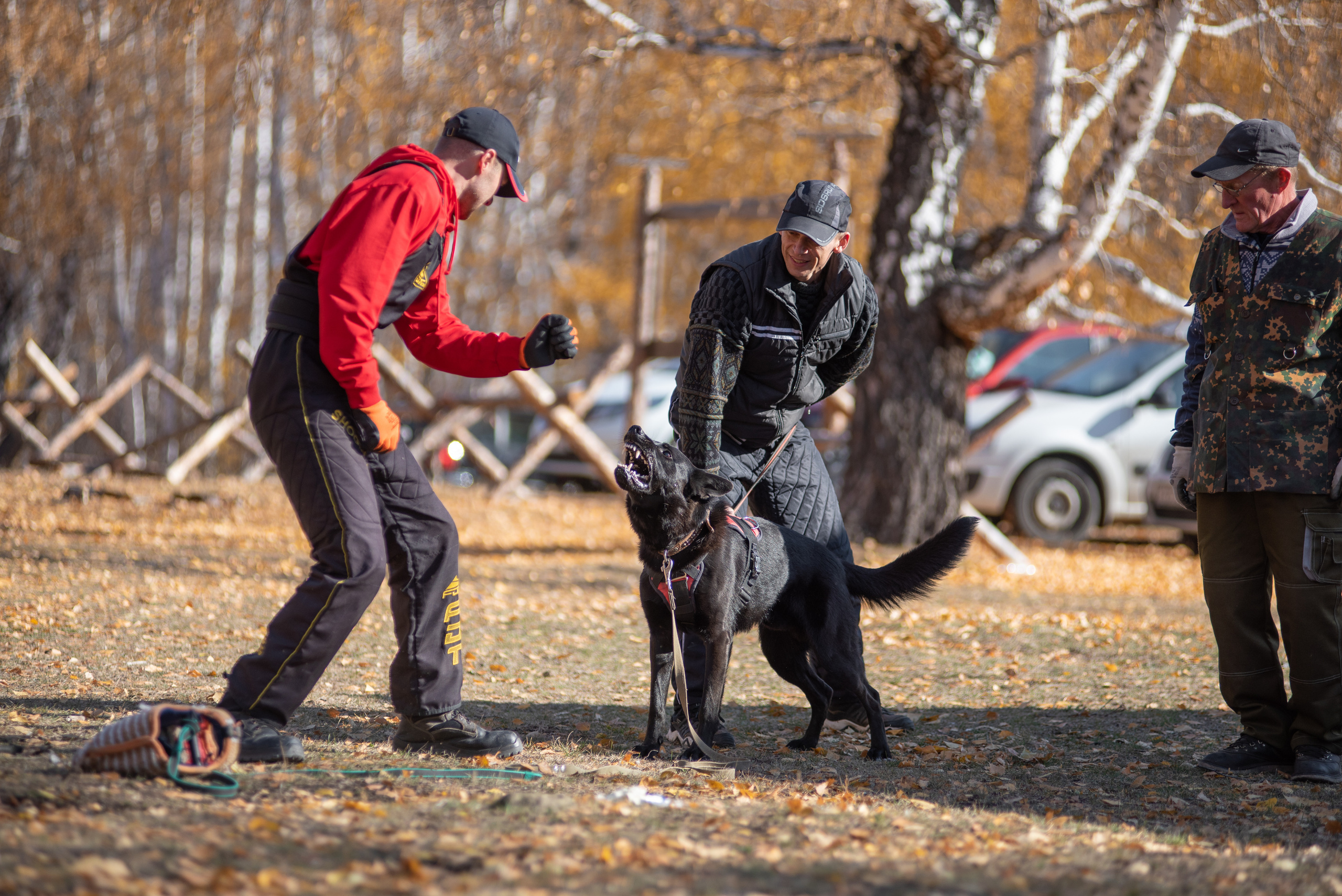 RUSSIAN HELPERS SCHOOL. Магнитогорск октябрь 2021. Дог-фотограф в Тюмени Александра Королева