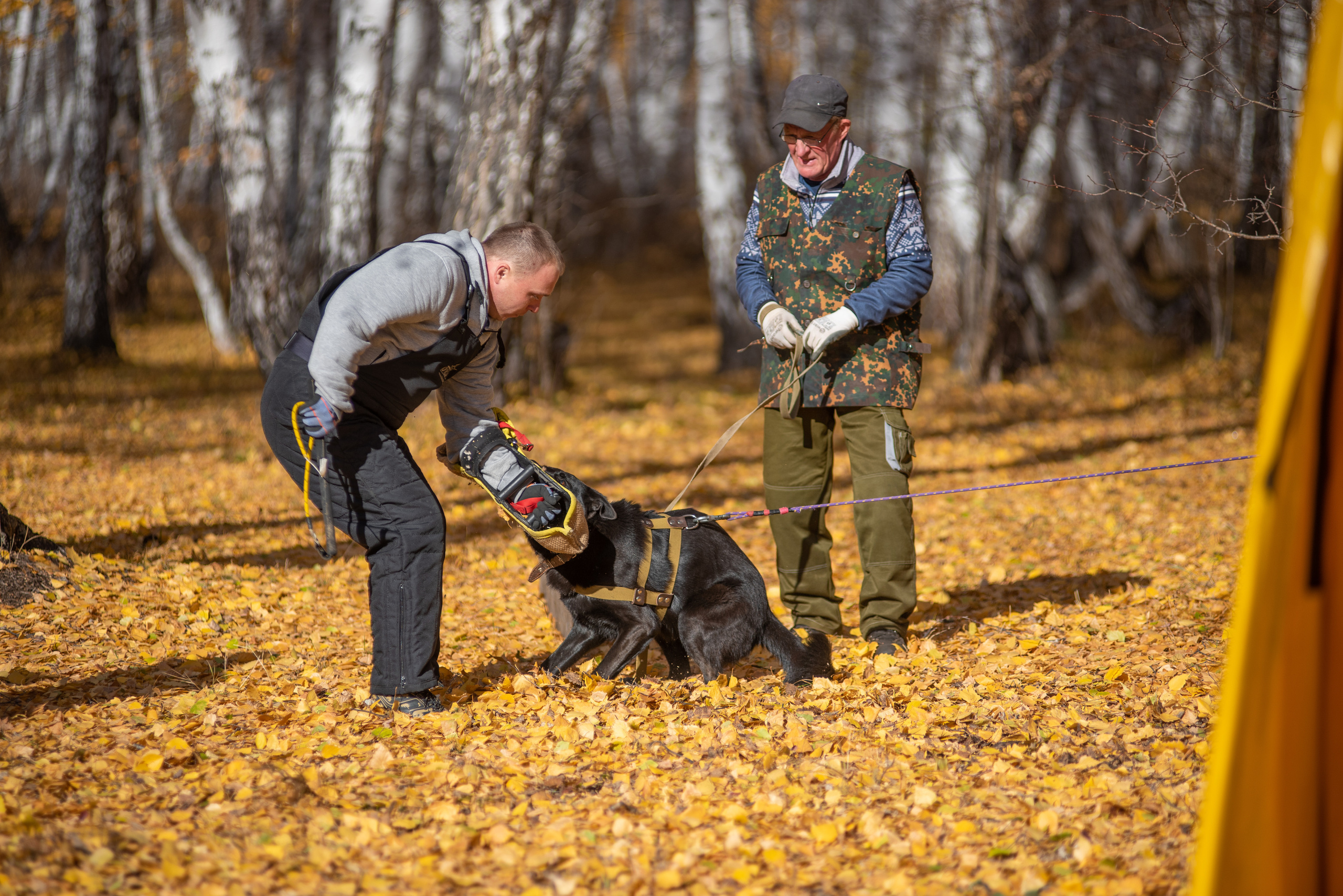 RUSSIAN HELPERS SCHOOL. Магнитогорск октябрь 2021. Дог-фотограф в Тюмени Александра Королева