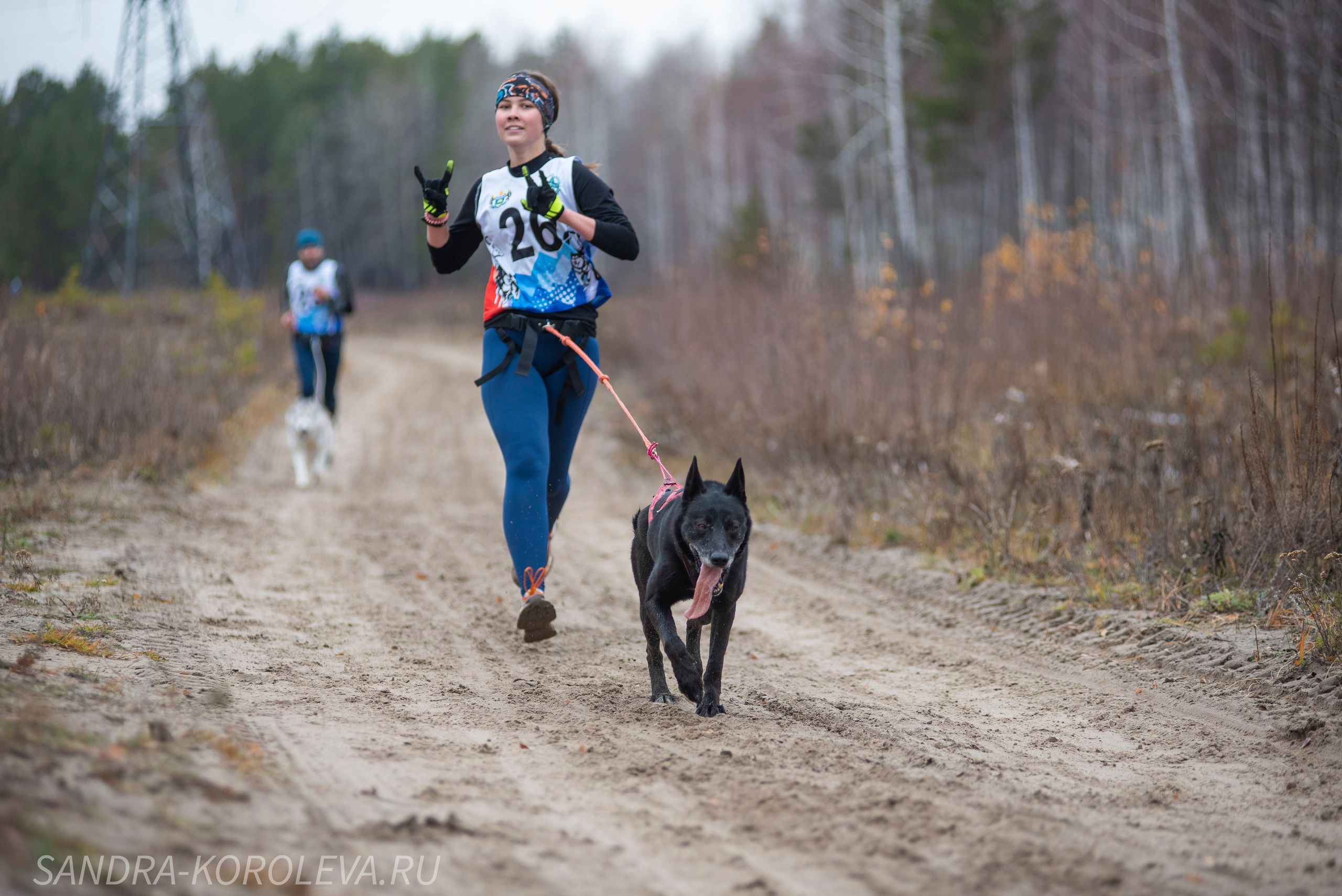 Спринт-гонка «Закрытие сезона» 24.10.2021. Дог-фотограф в Тюмени Александра Королева