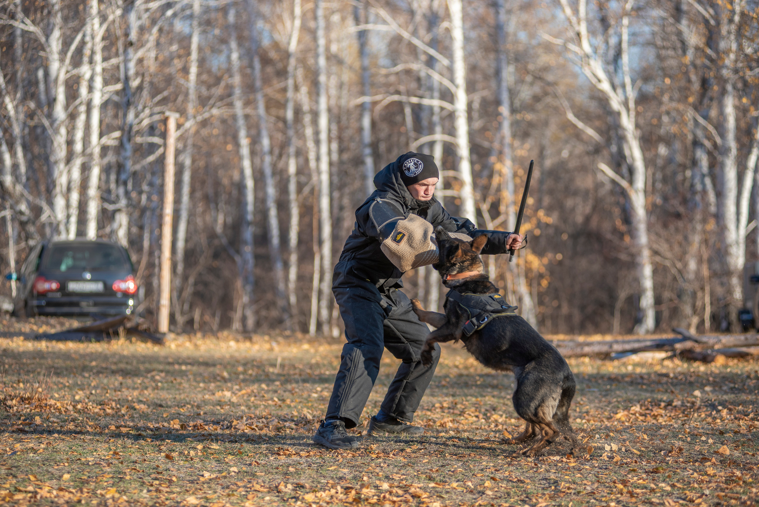 RUSSIAN HELPERS SCHOOL. Магнитогорск октябрь 2021. Дог-фотограф в Тюмени Александра Королева