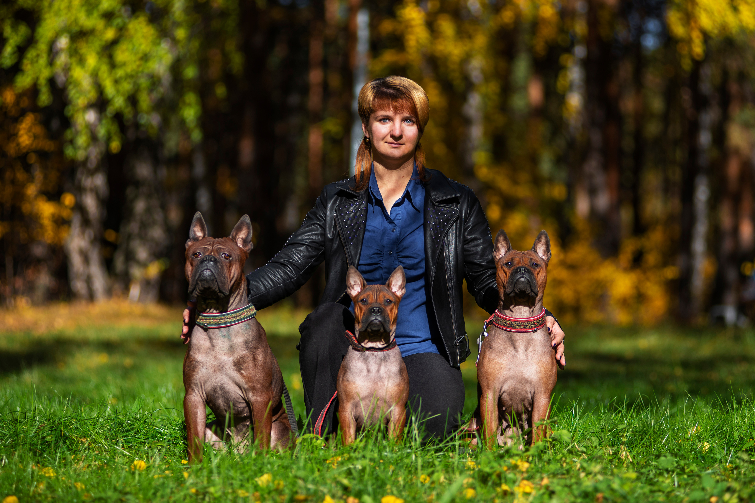 Полина и ее питомцы. Дог-фотограф в Тюмени Александра Королева