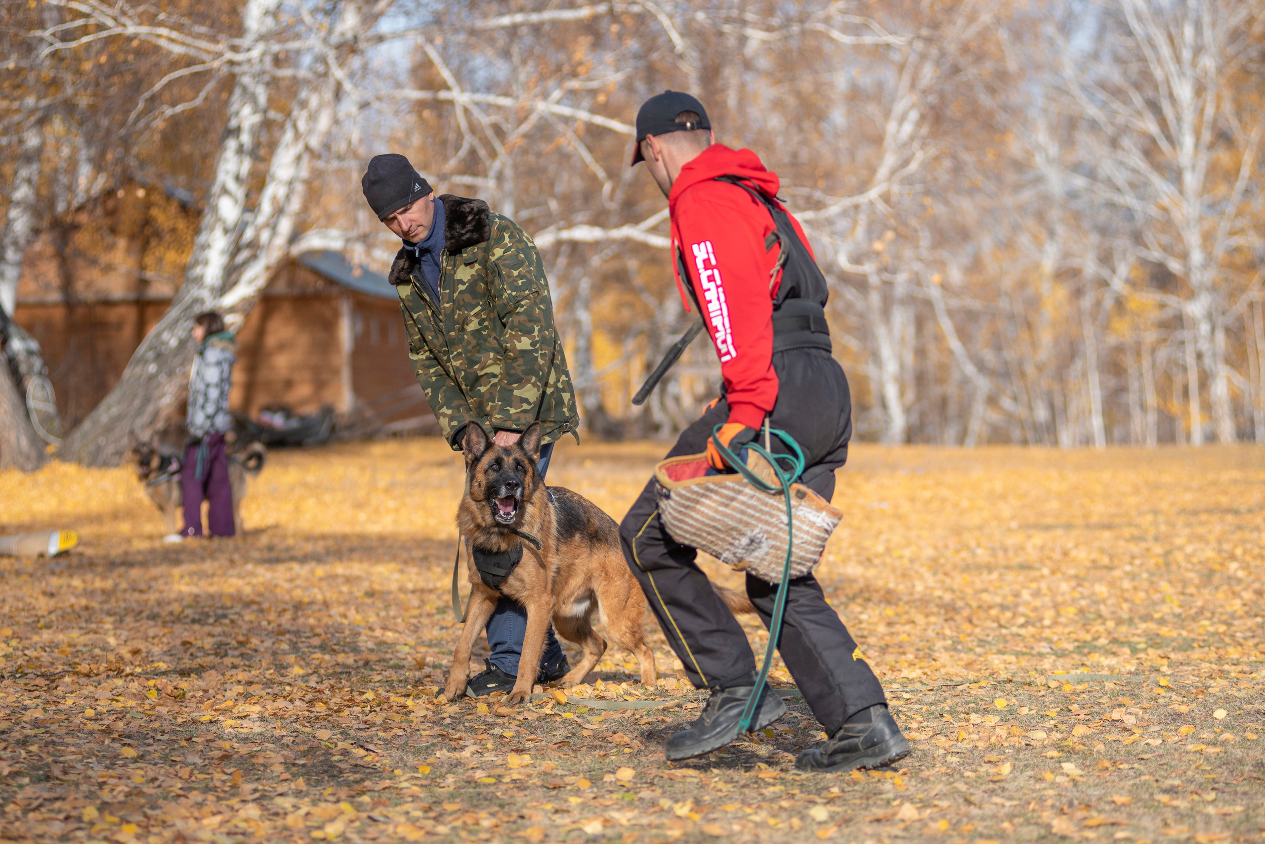 RUSSIAN HELPERS SCHOOL. Магнитогорск октябрь 2021. Дог-фотограф в Тюмени Александра Королева