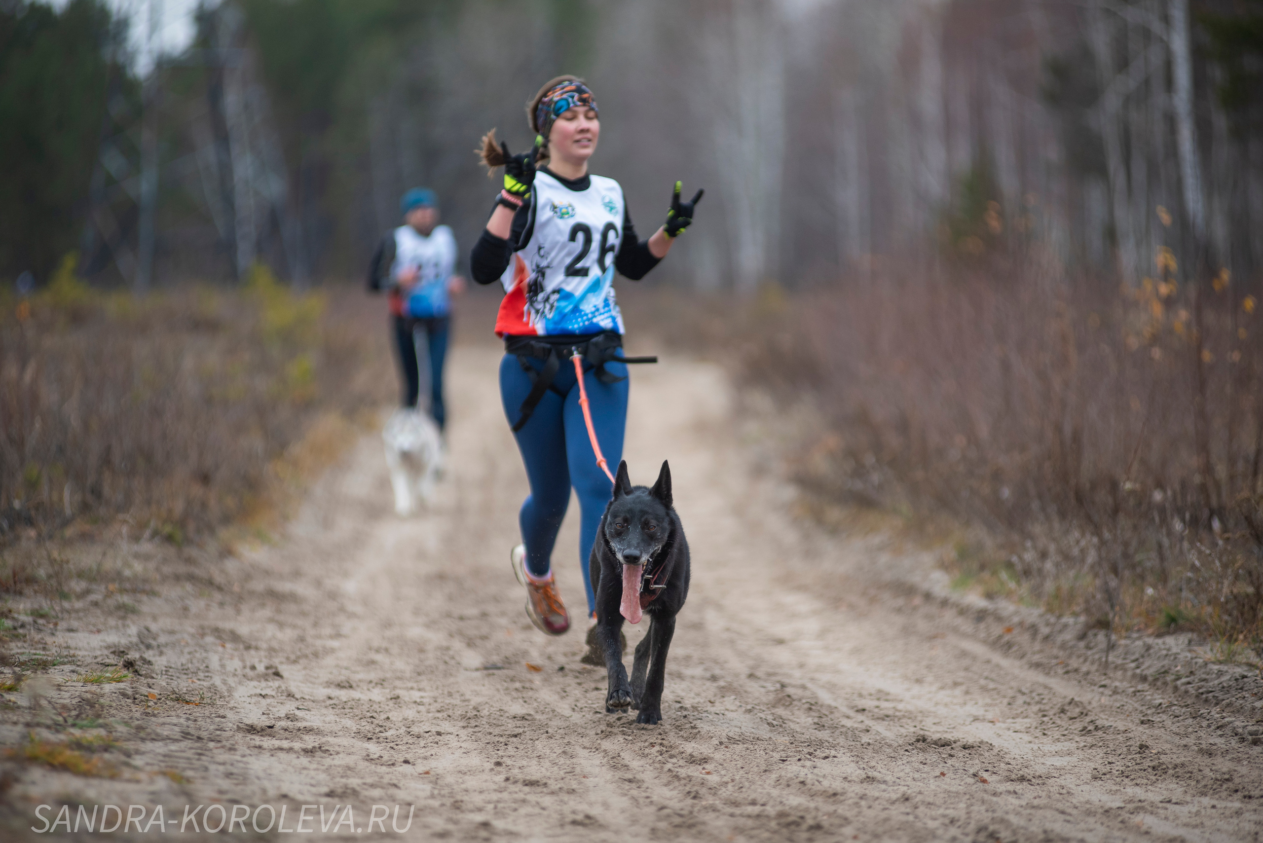 Спринт-гонка «Закрытие сезона» 24.10.2021. Дог-фотограф в Тюмени Александра Королева