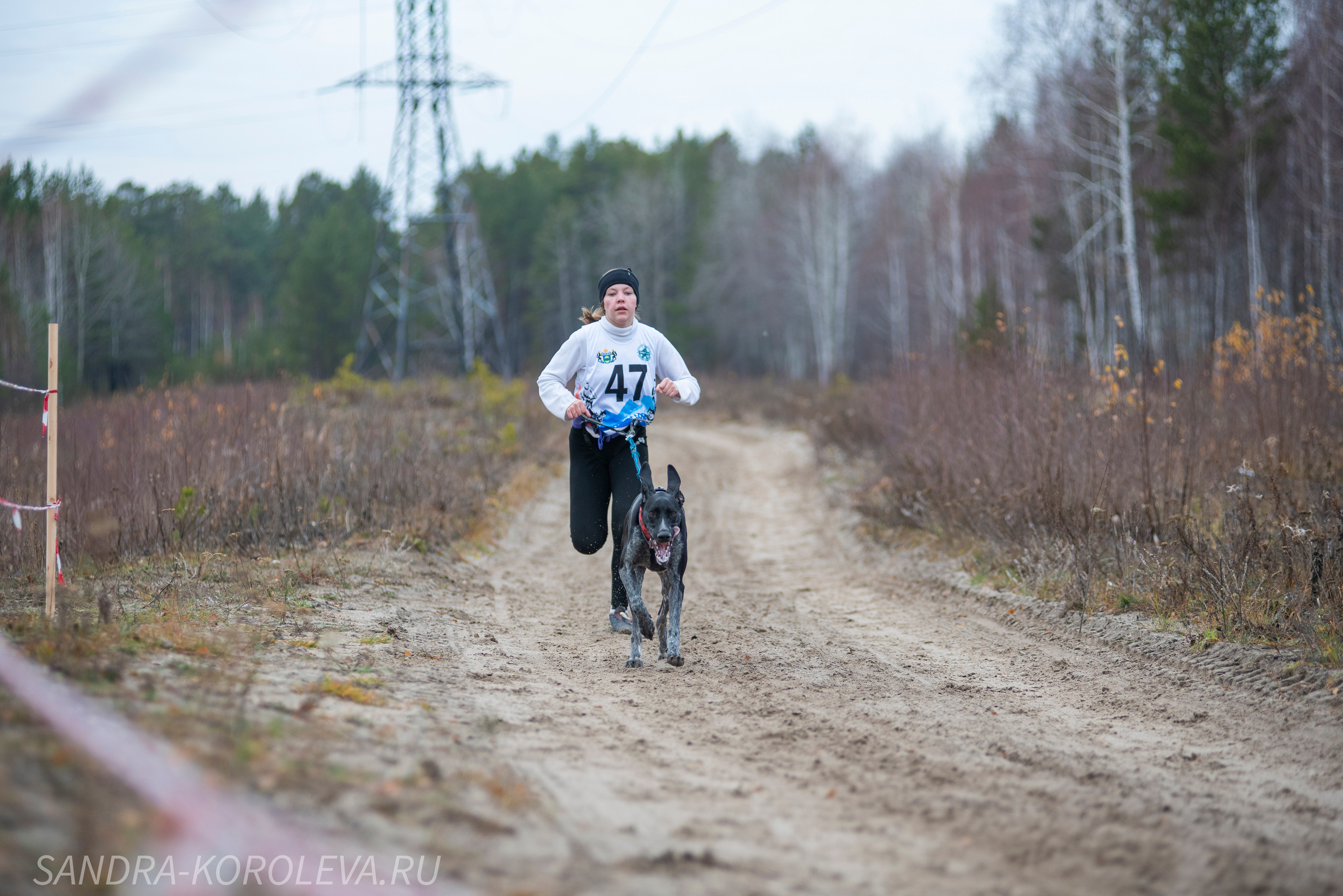 Спринт-гонка «Закрытие сезона» 24.10.2021. Дог-фотограф в Тюмени Александра Королева