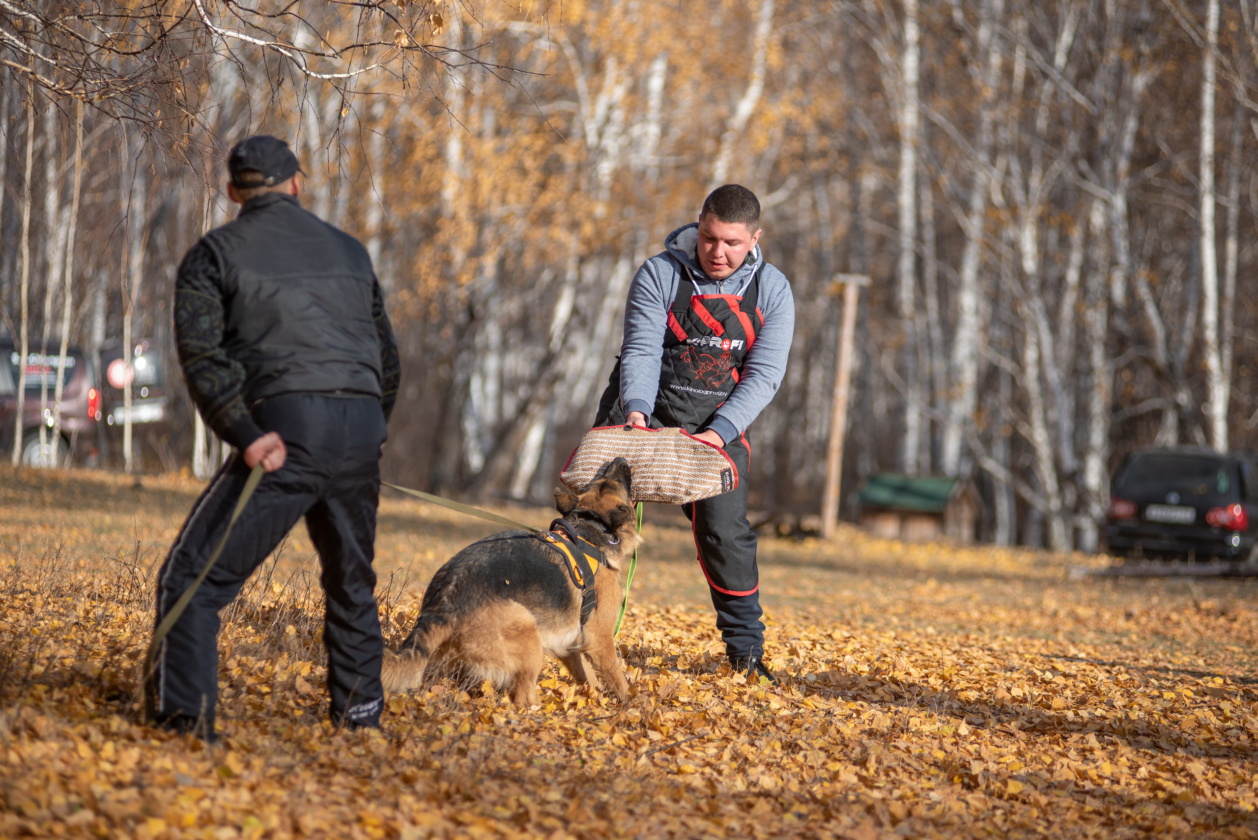 RUSSIAN HELPERS SCHOOL. Магнитогорск октябрь 2021. Дог-фотограф в Тюмени Александра Королева
