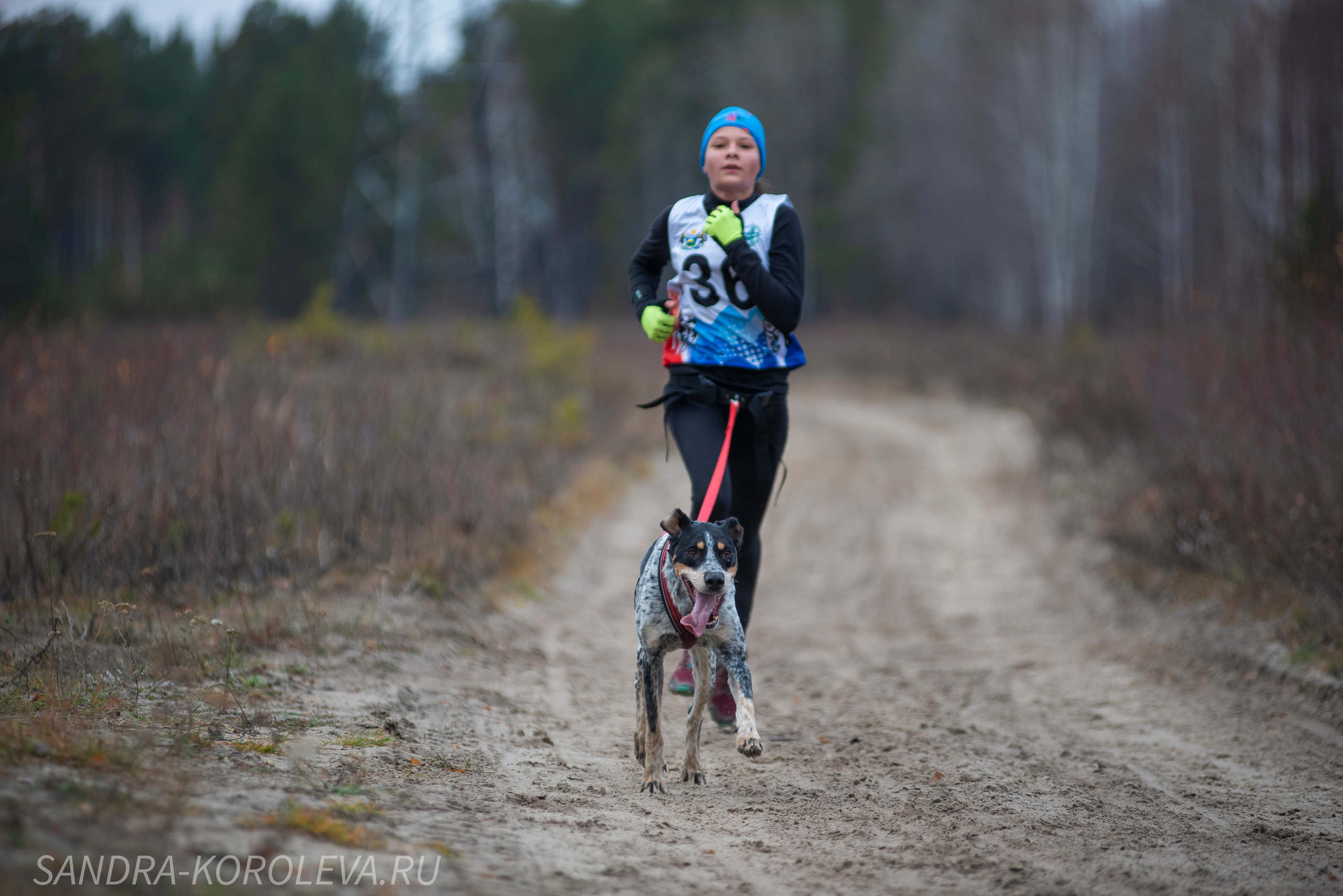 Спринт-гонка «Закрытие сезона» 24.10.2021. Дог-фотограф в Тюмени Александра Королева