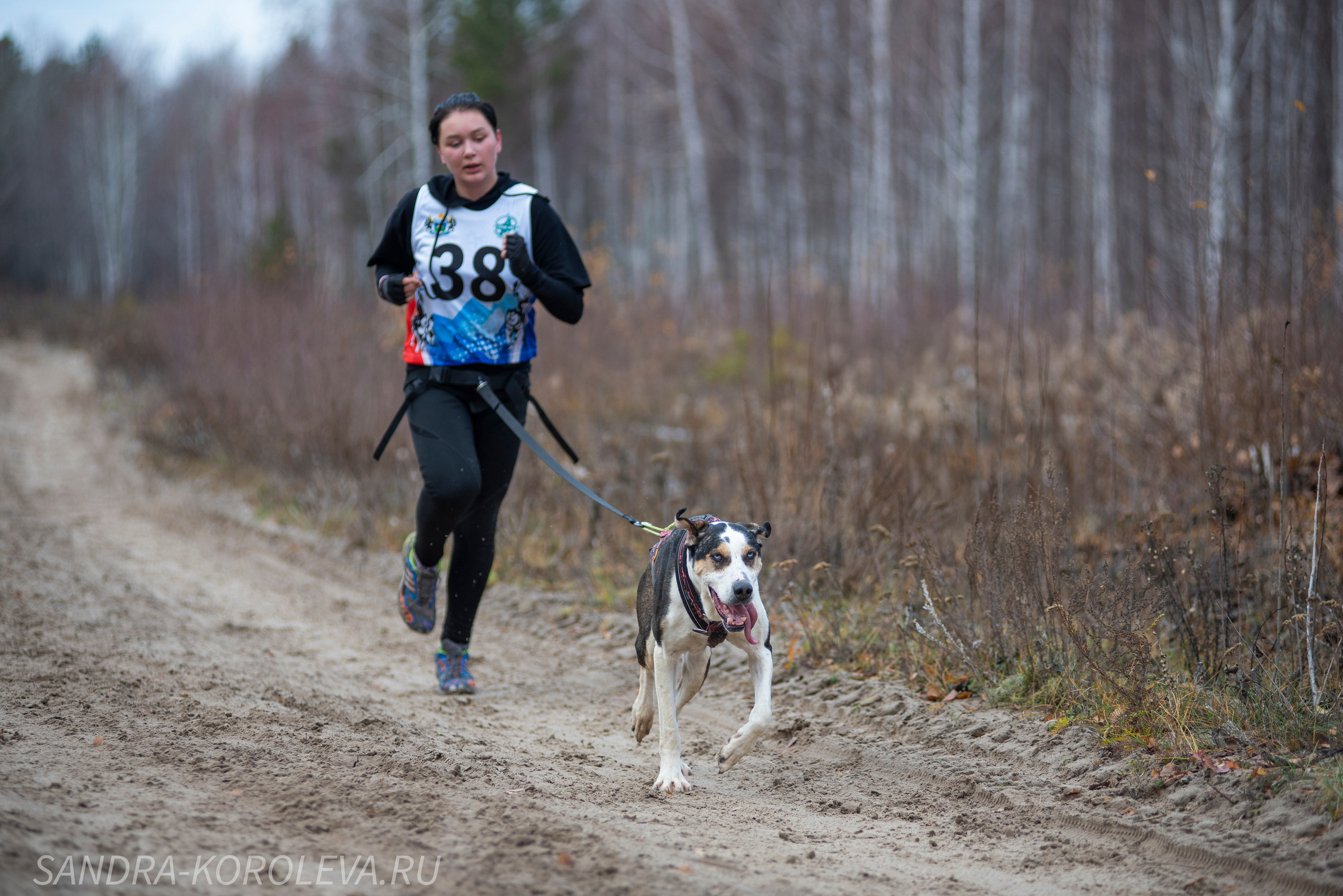Спринт-гонка «Закрытие сезона» 24.10.2021. Дог-фотограф в Тюмени Александра Королева