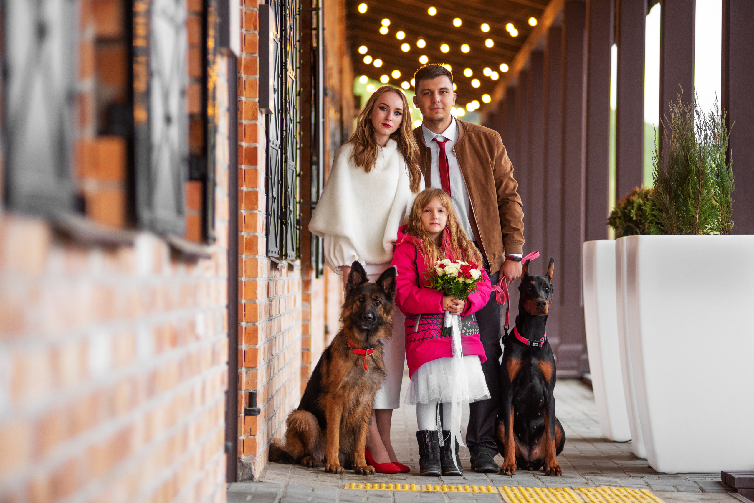 Свадьба Саши и Стаса. Дог-фотограф в Тюмени Александра Королева