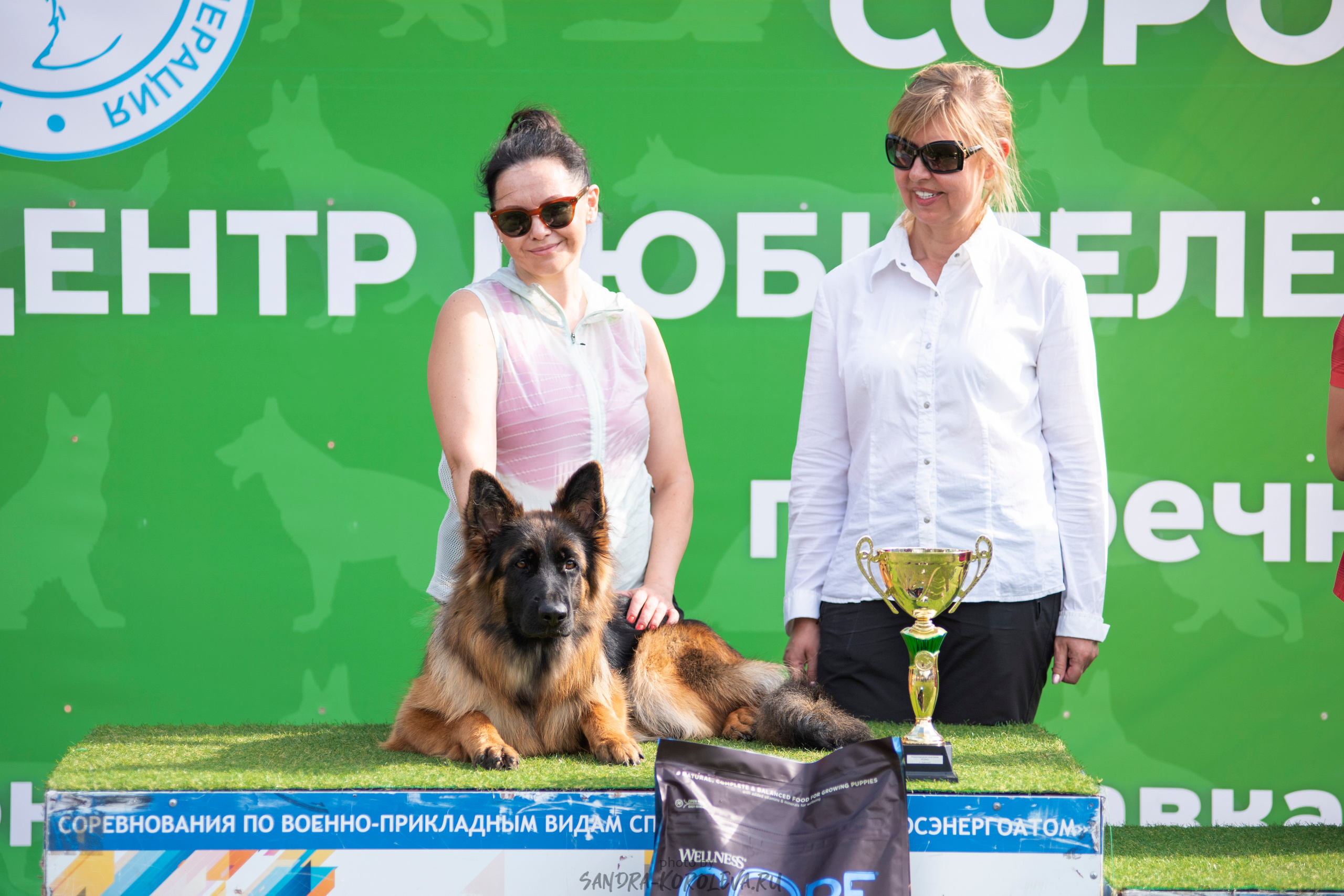 Монопородная выставка немецких овчарок, г. Заречный 2021. Дог-фотограф в Тюмени Александра Королева