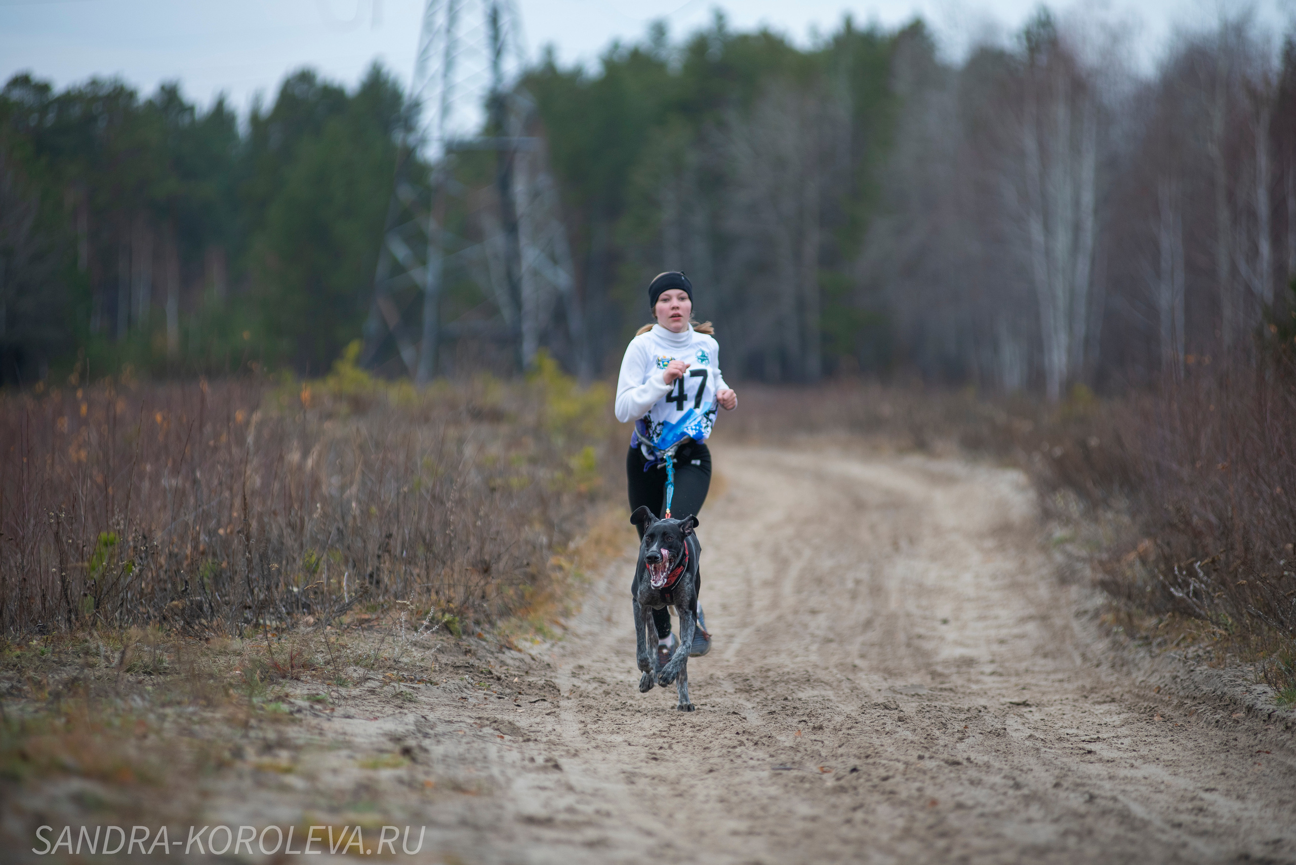 Спринт-гонка «Закрытие сезона» 24.10.2021. Дог-фотограф в Тюмени Александра Королева