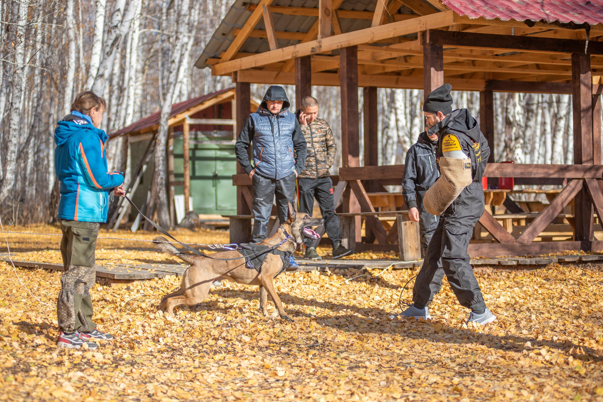 RUSSIAN HELPERS SCHOOL. Магнитогорск октябрь 2021. Дог-фотограф в Тюмени Александра Королева