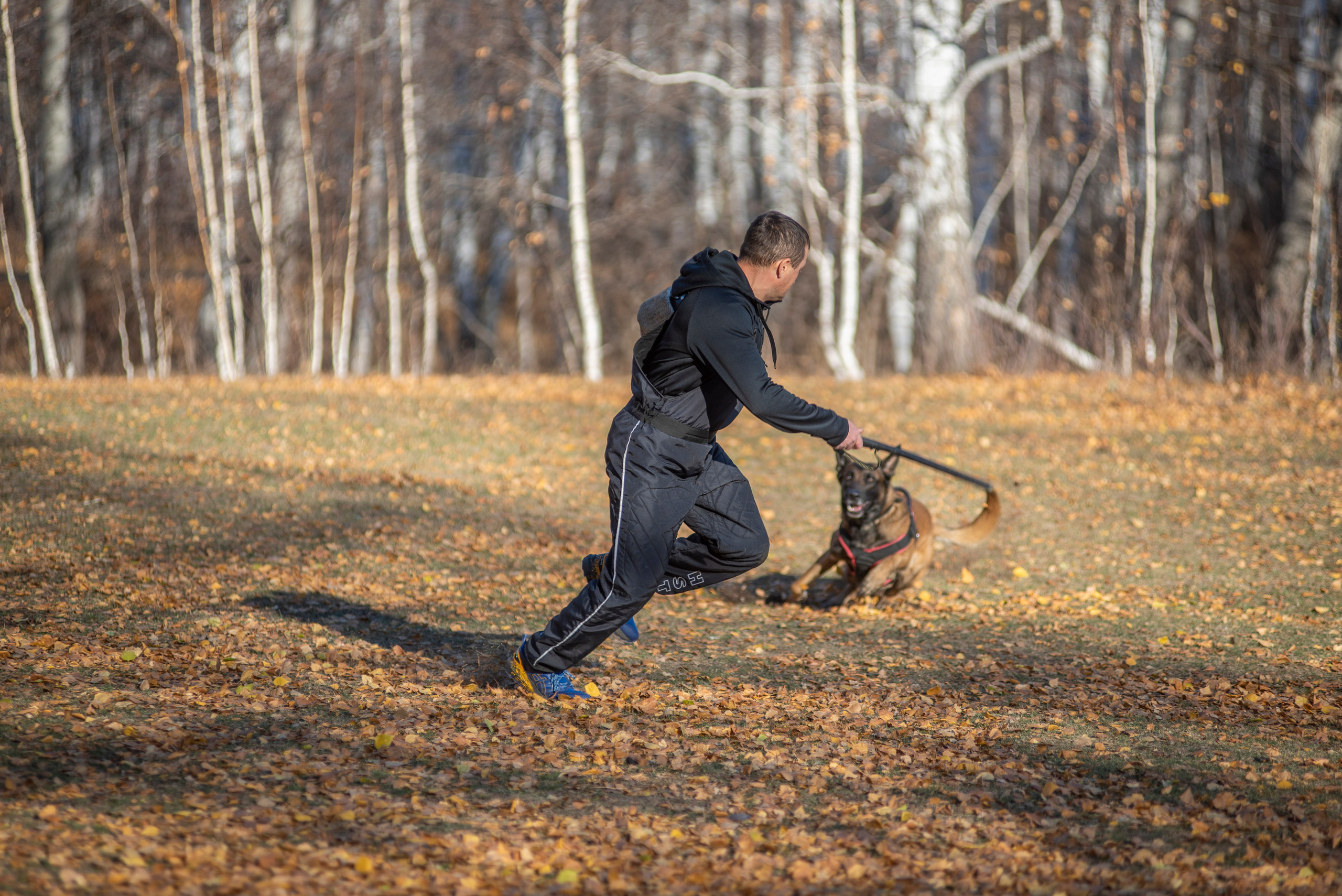 RUSSIAN HELPERS SCHOOL. Магнитогорск октябрь 2021. Дог-фотограф в Тюмени Александра Королева