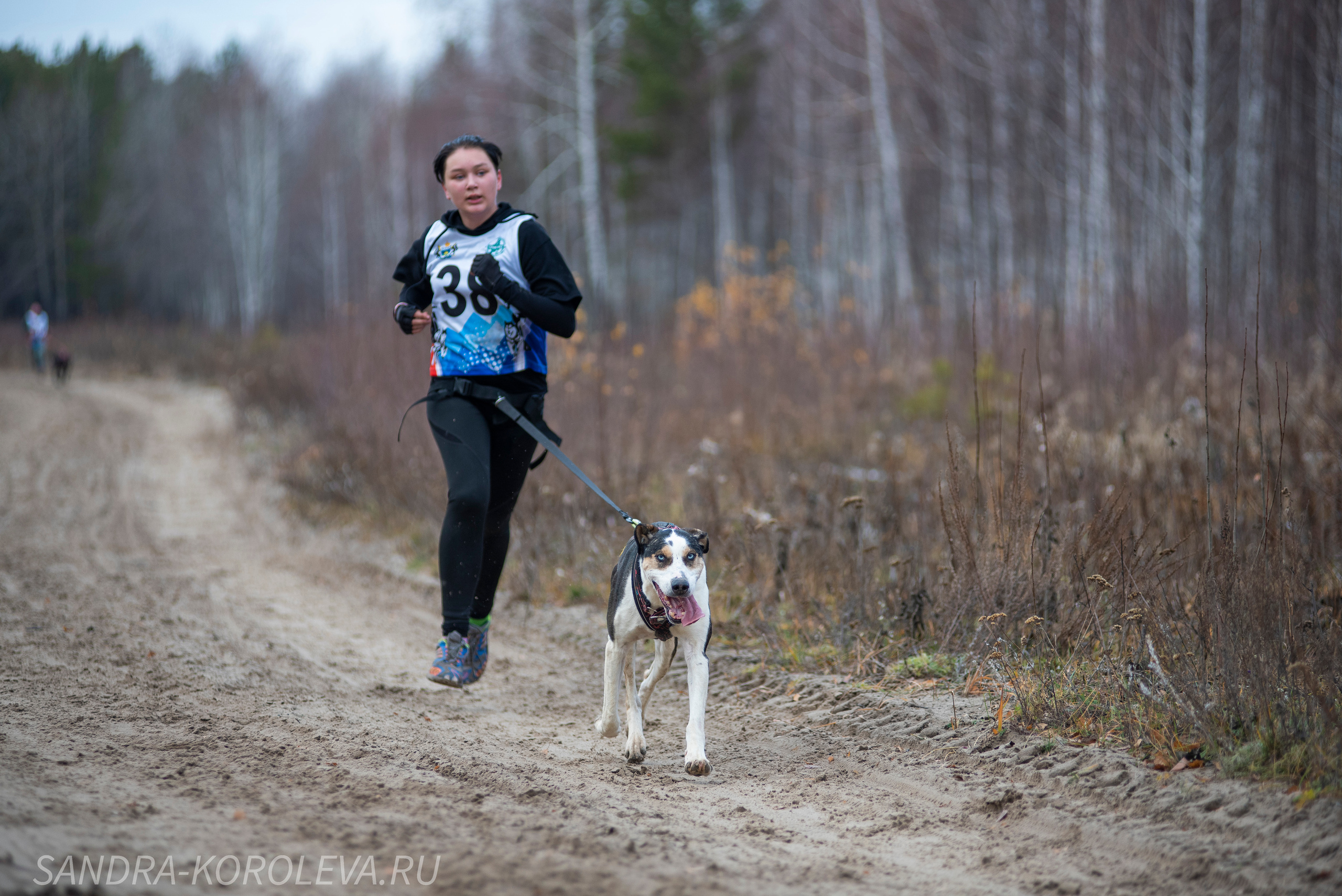 Спринт-гонка «Закрытие сезона» 24.10.2021. Дог-фотограф в Тюмени Александра Королева