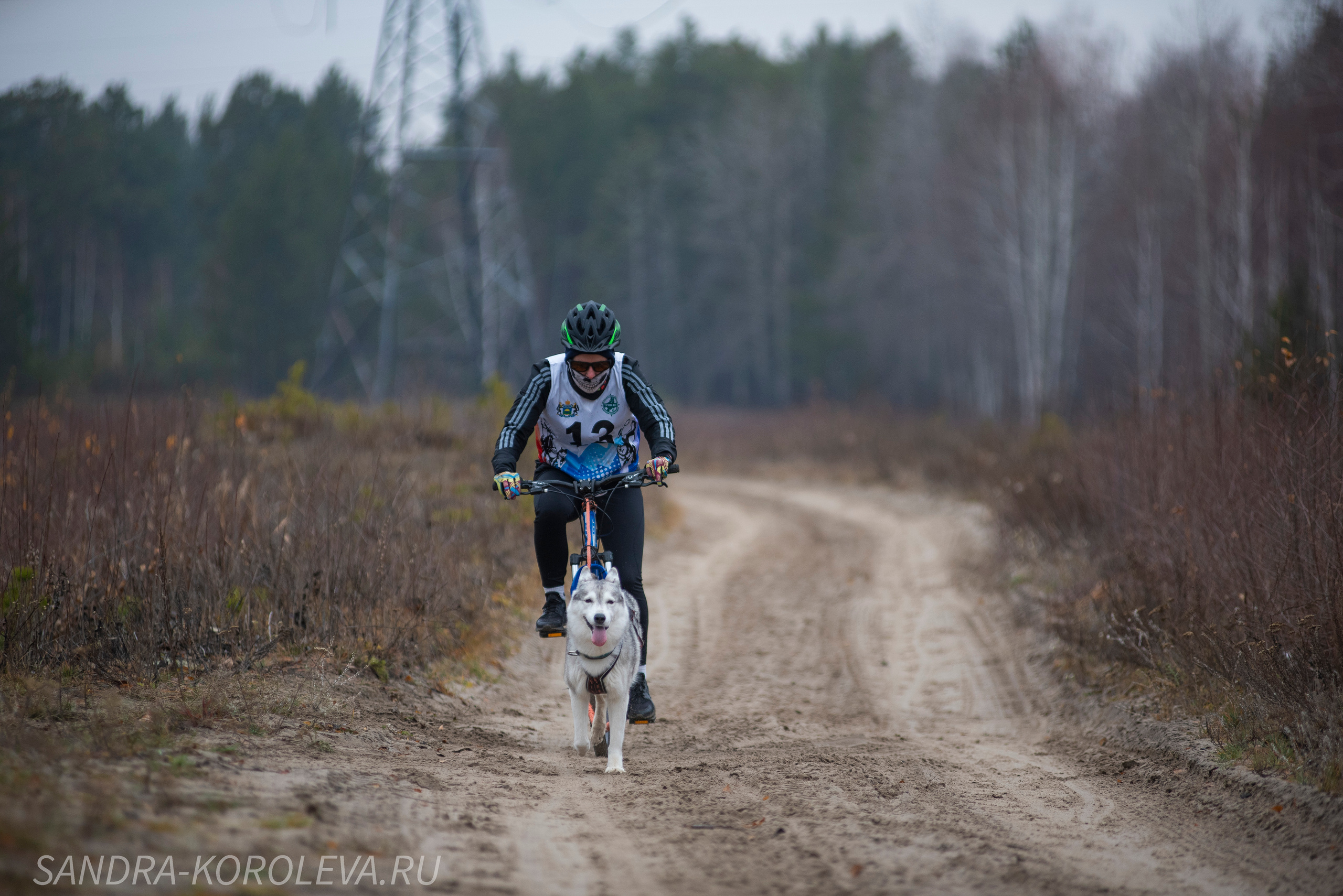 Спринт-гонка «Закрытие сезона» 24.10.2021. Дог-фотограф в Тюмени Александра Королева